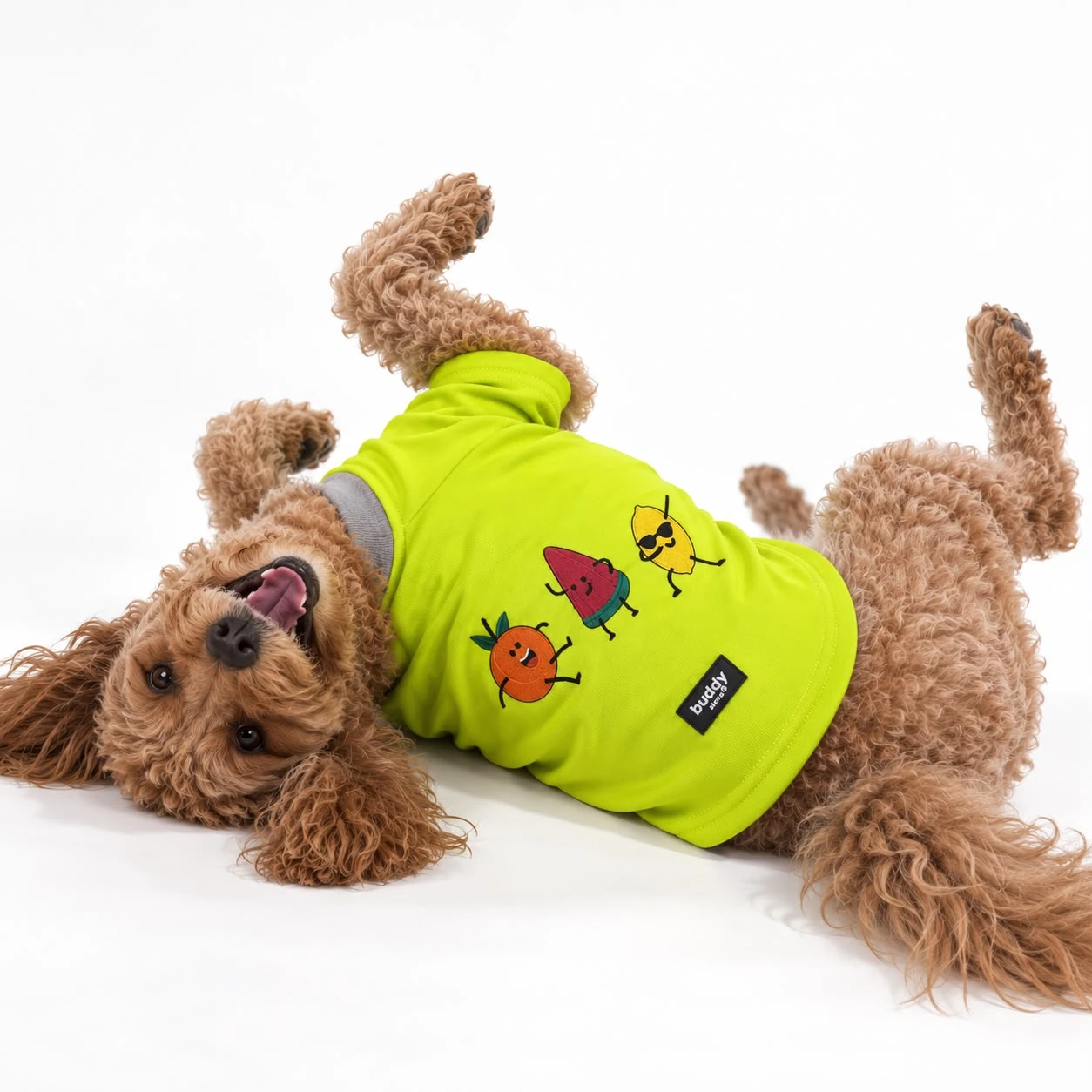 Fruit Friends Nakışlı Köpek Sweatshirt – Neon Sarı