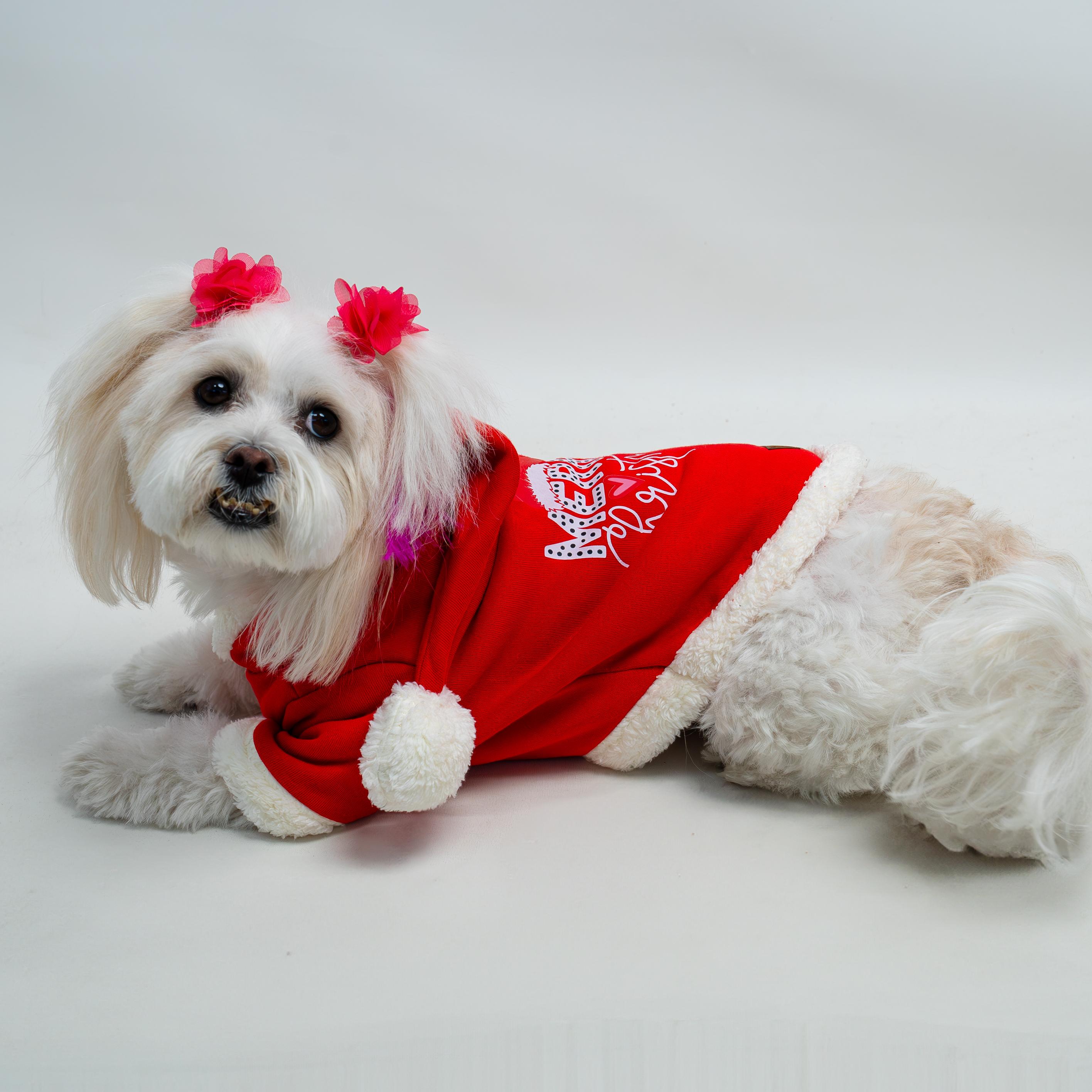 Kedi & Köpek Yılbaşı Kıyafeti - Merry Christmas Baskılı Kırmızı Sweatshirt