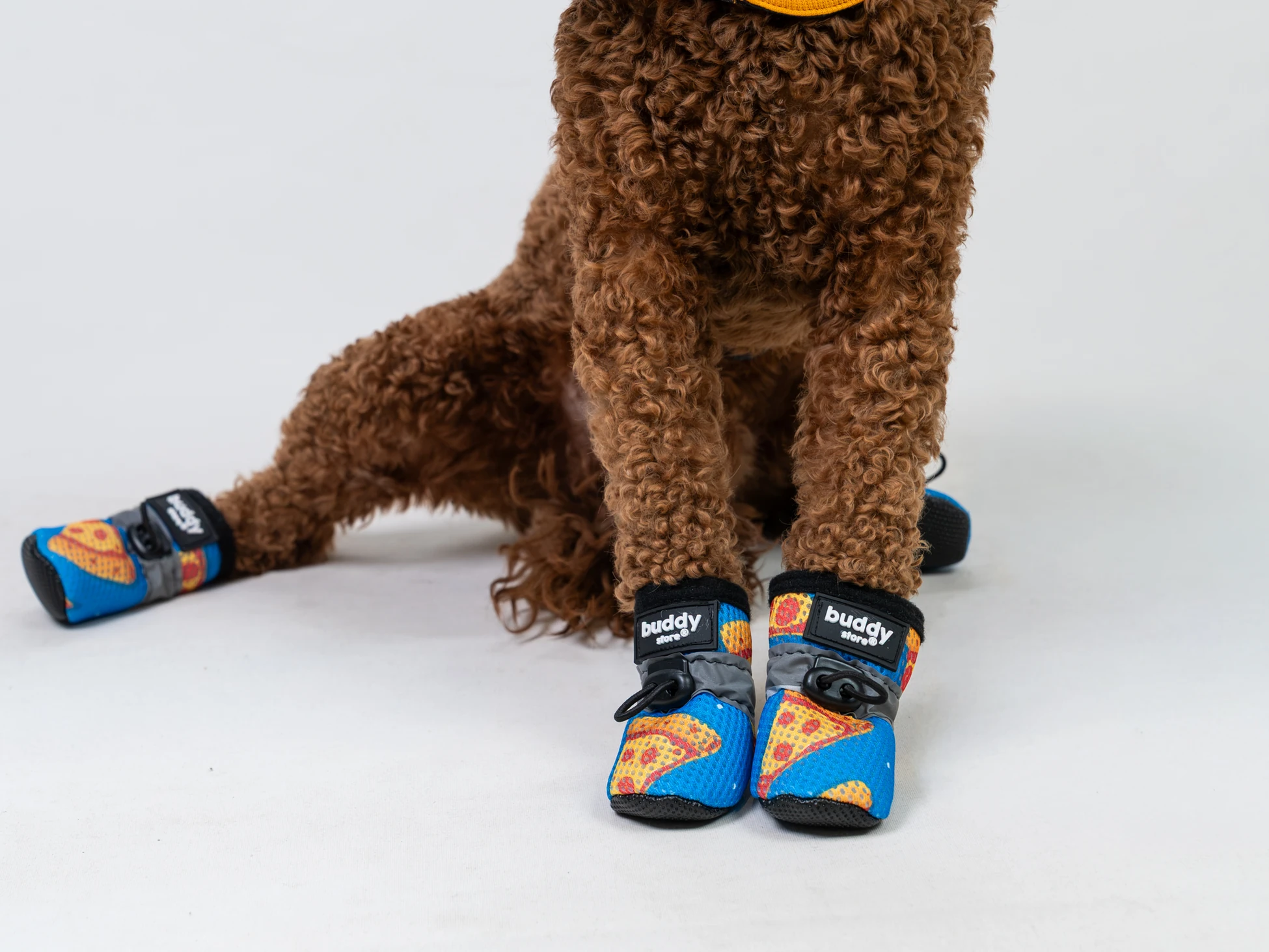 Pizzaro Air Köpek Ayakkabısı (Yağışsız havalara uygun)