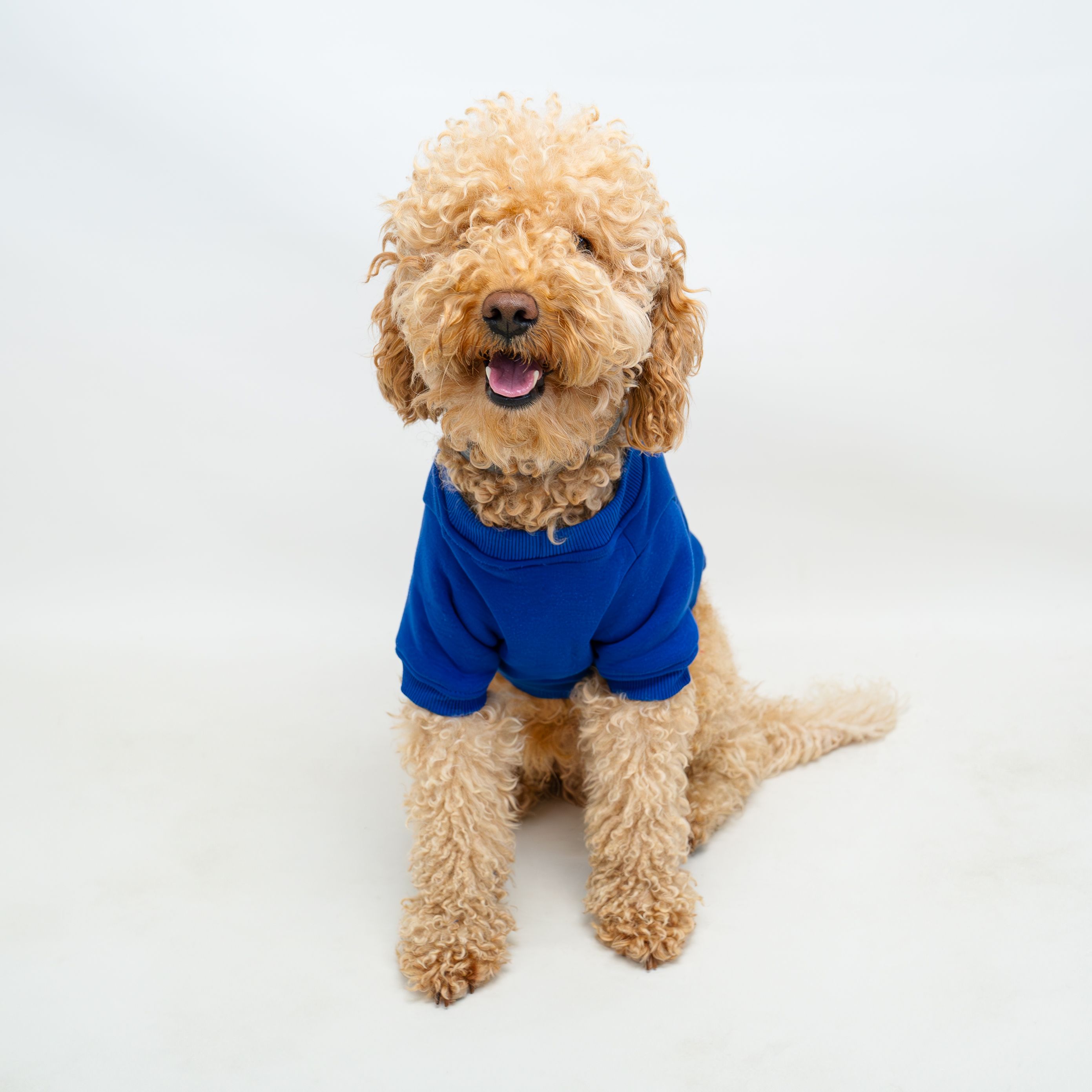 Bisiklet Yaka Sweatshirt - Saks Mavi