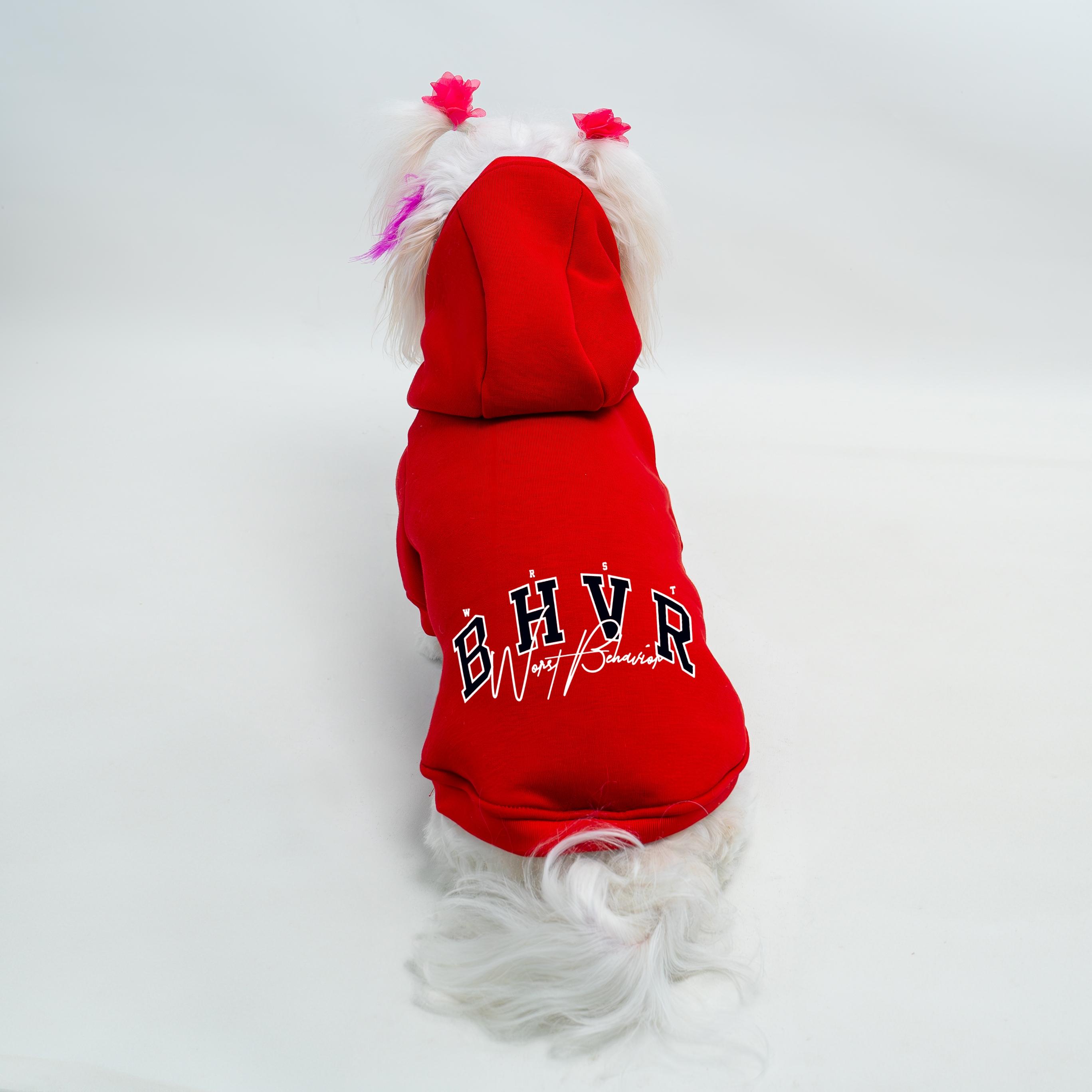 Kedi & Köpek Kıyafeti Sweatshirt - BHVR Baskılı Kırmızı Sweatshirt