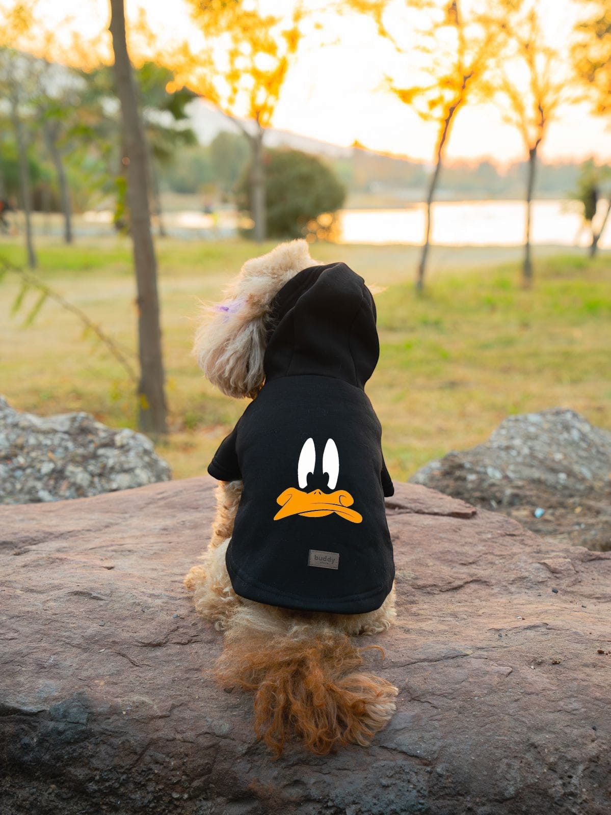 Kedi & Köpek Kıyafeti Sweatshirt - Duffy Duck Baskılı Siyah Sweatshirt