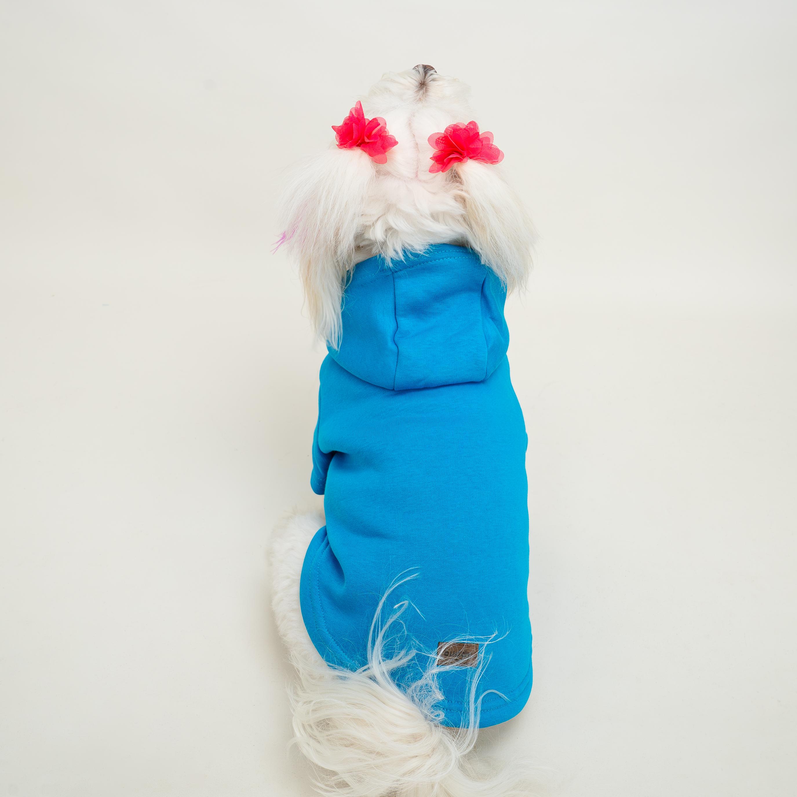 Kedi & Köpek Kıyafeti Sweatshirt - Baskısız Mavi Sweatshirt