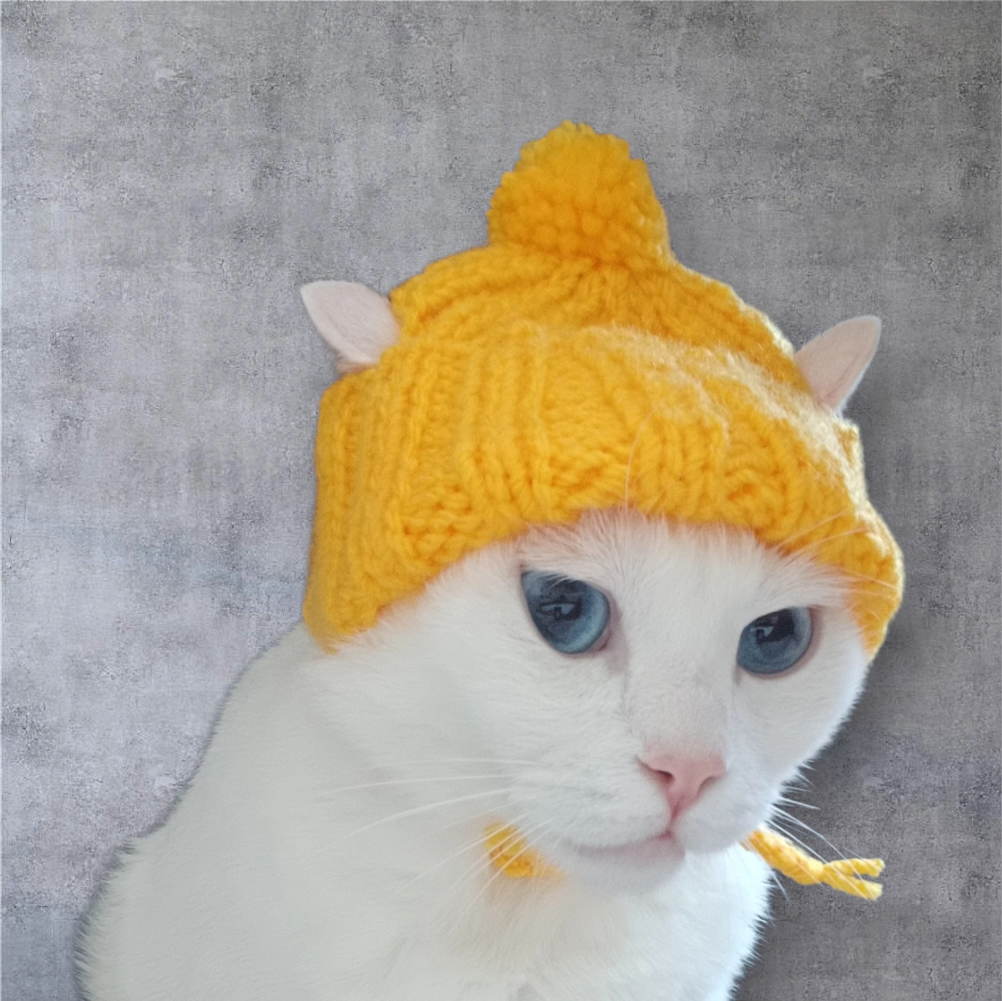 Sarı El Örmesi Ufak ve Orta Irk Kedi ve Köpekler için Tasarlanmış Şapka main variant image