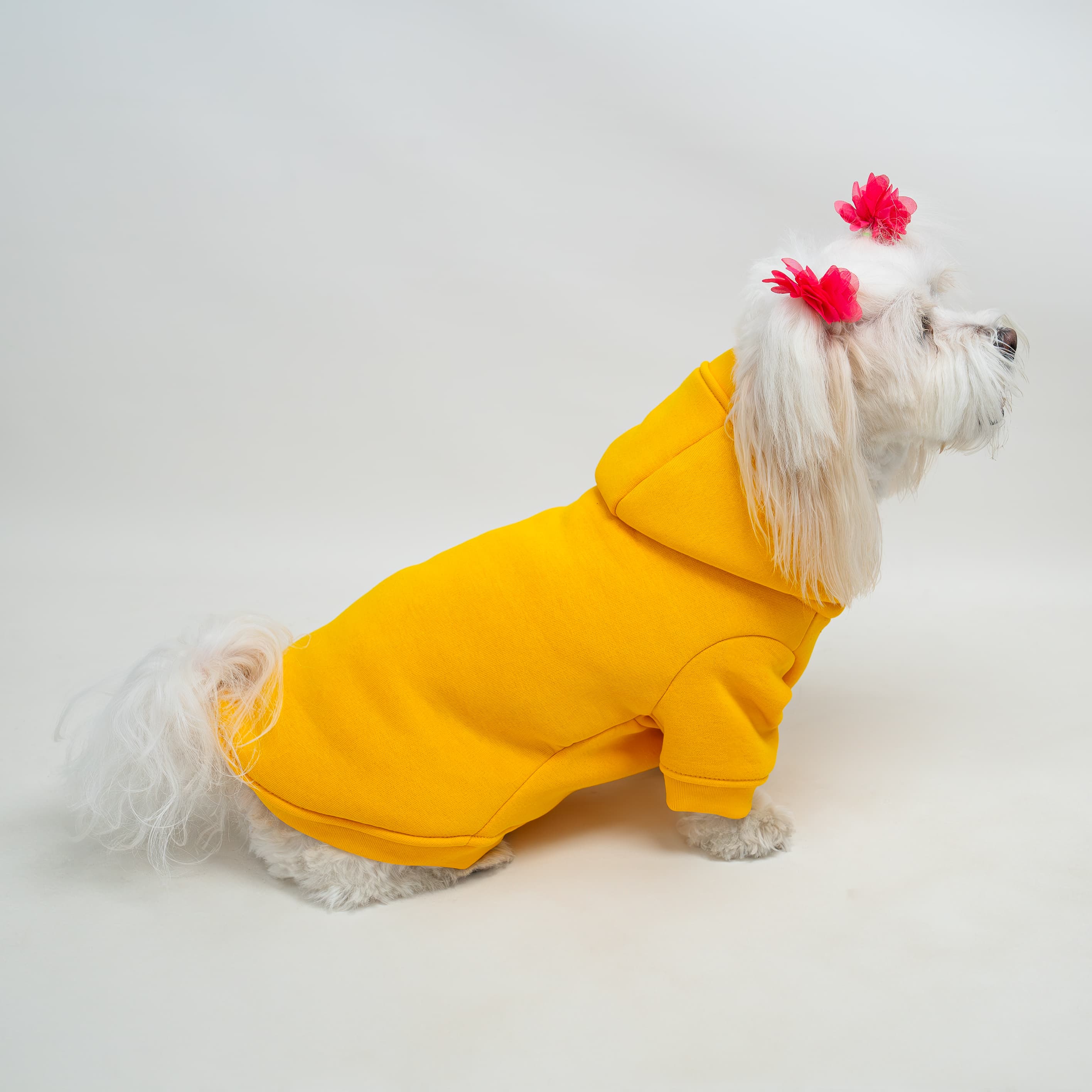Kedi & Köpek Kıyafeti Sweatshirt - Tweety Baskılı Sarı Sweatshirt