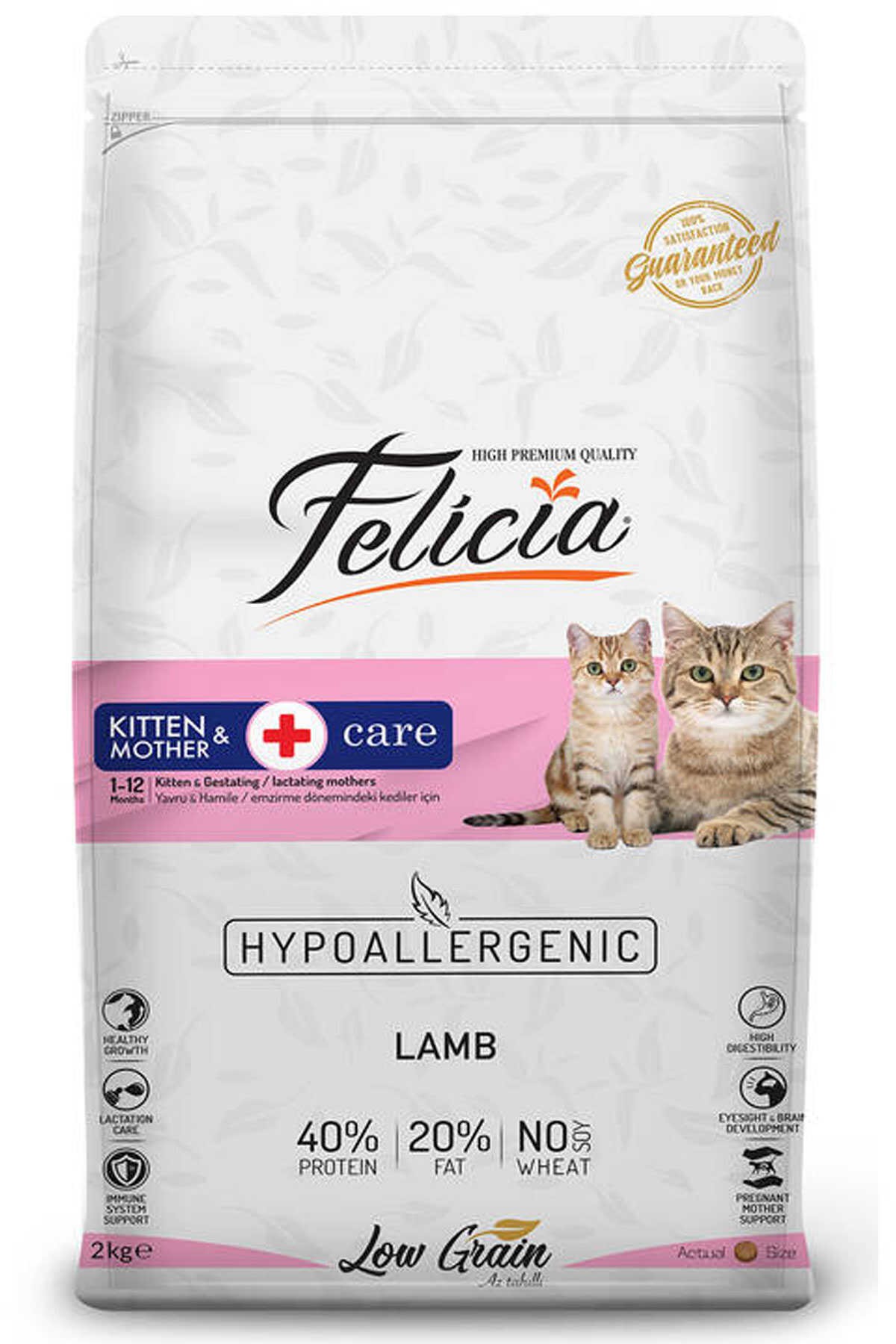 Felicia - Kitten & Mother Yavru ve Hamile Kuzulu ( 2 KG )