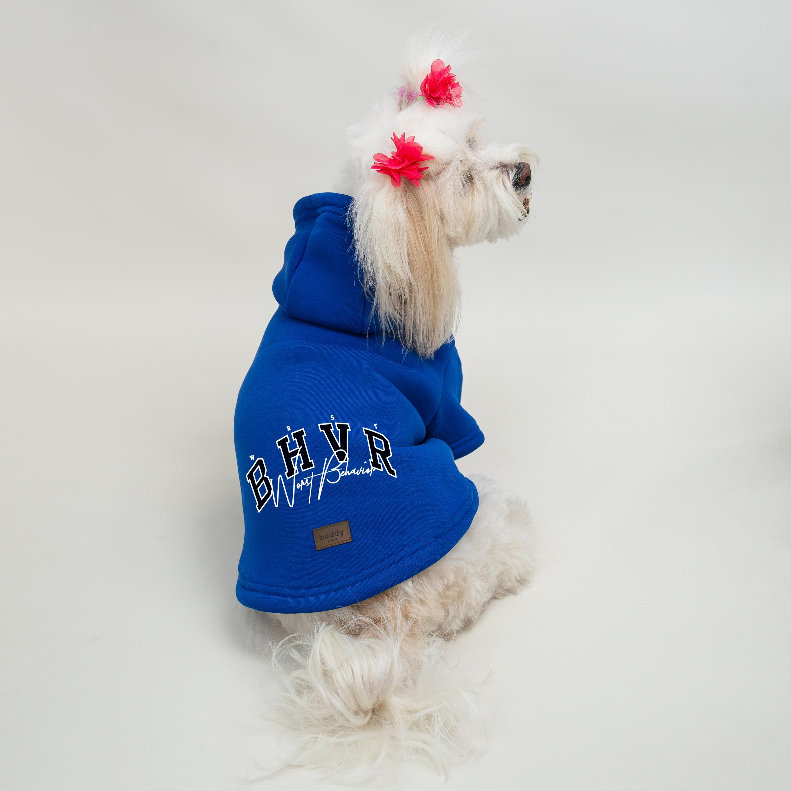 Kedi & Köpek Kıyafeti Sweatshirt -  Saks Mavi Baskısız Sweatshirt - Saks BHVR