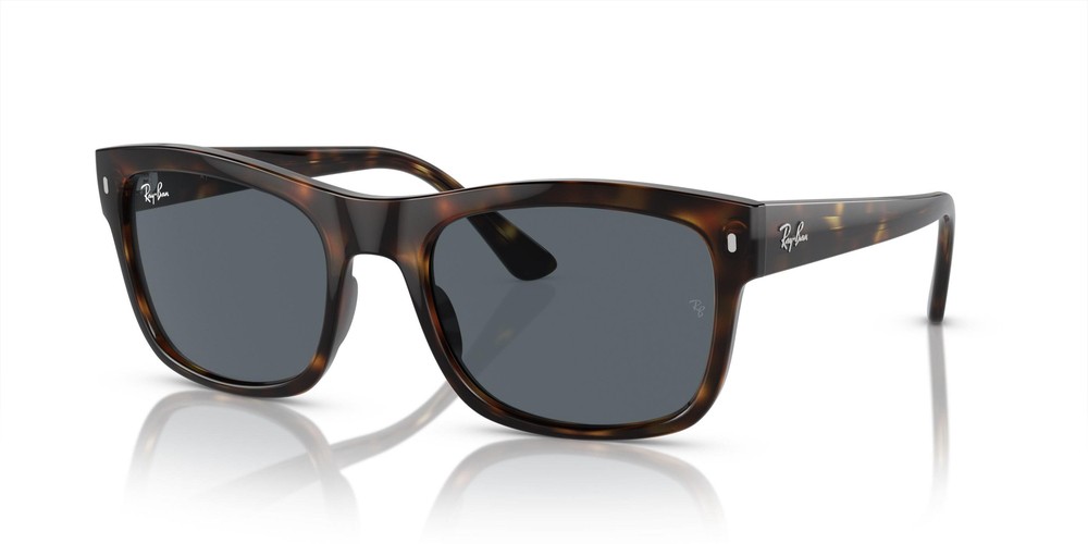 RAYBAN 4428 Unisex Güneş Gözlüğü (Kırçıllı)