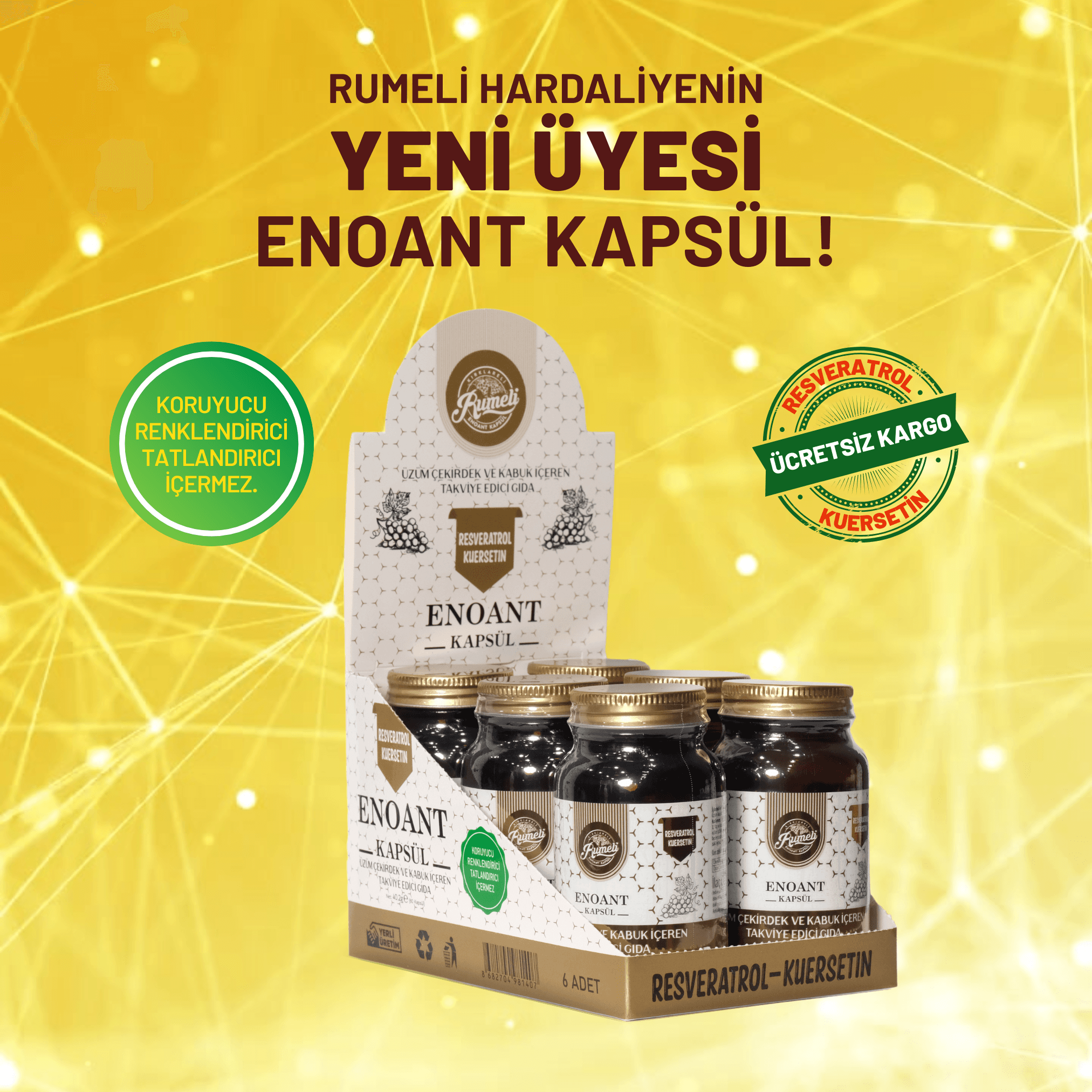 ENOANT 60 KAPSÜL-40 GR 6 ADET (1 KOLİ)