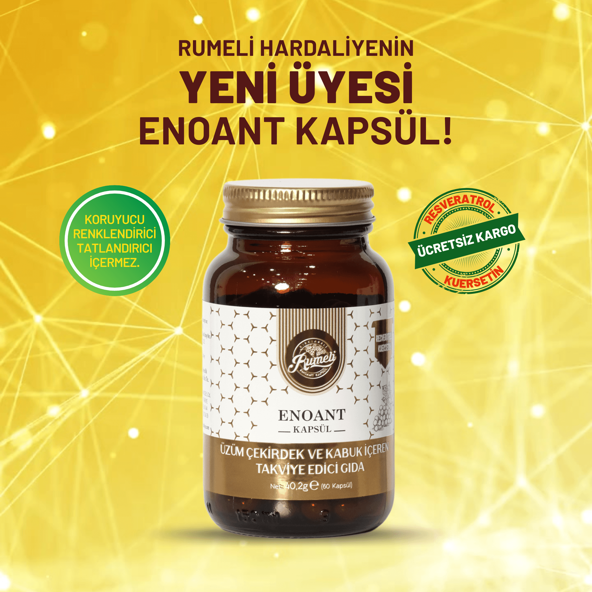 ENOANT 60 KAPSÜL - 40 GR