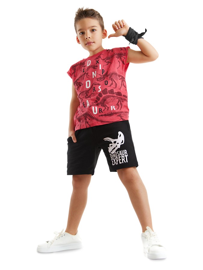 Dinosaur Expert Erkek Çocuk Yazlık Kolsuz T-shirt Şort Takım MSHB&G