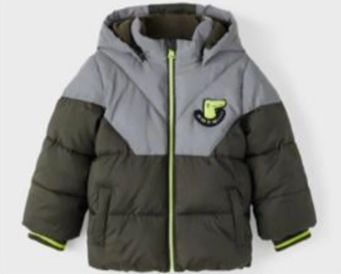 Name it Dinazor Mont