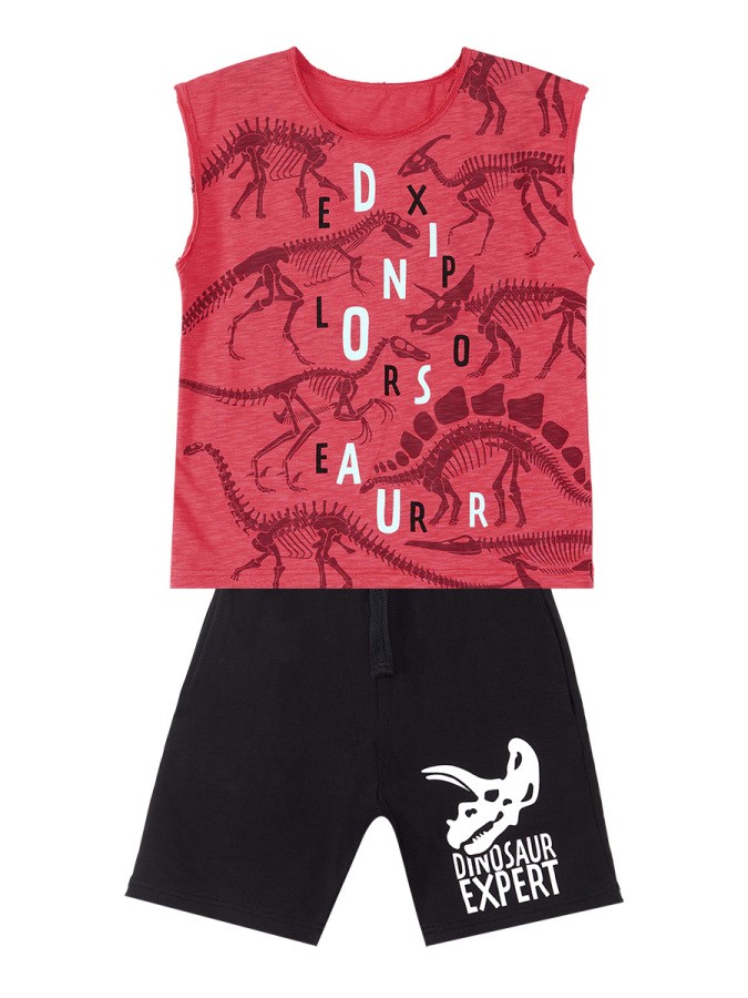 Dinosaur Expert Erkek Çocuk Yazlık Kolsuz T-shirt Şort Takım MSHB&G