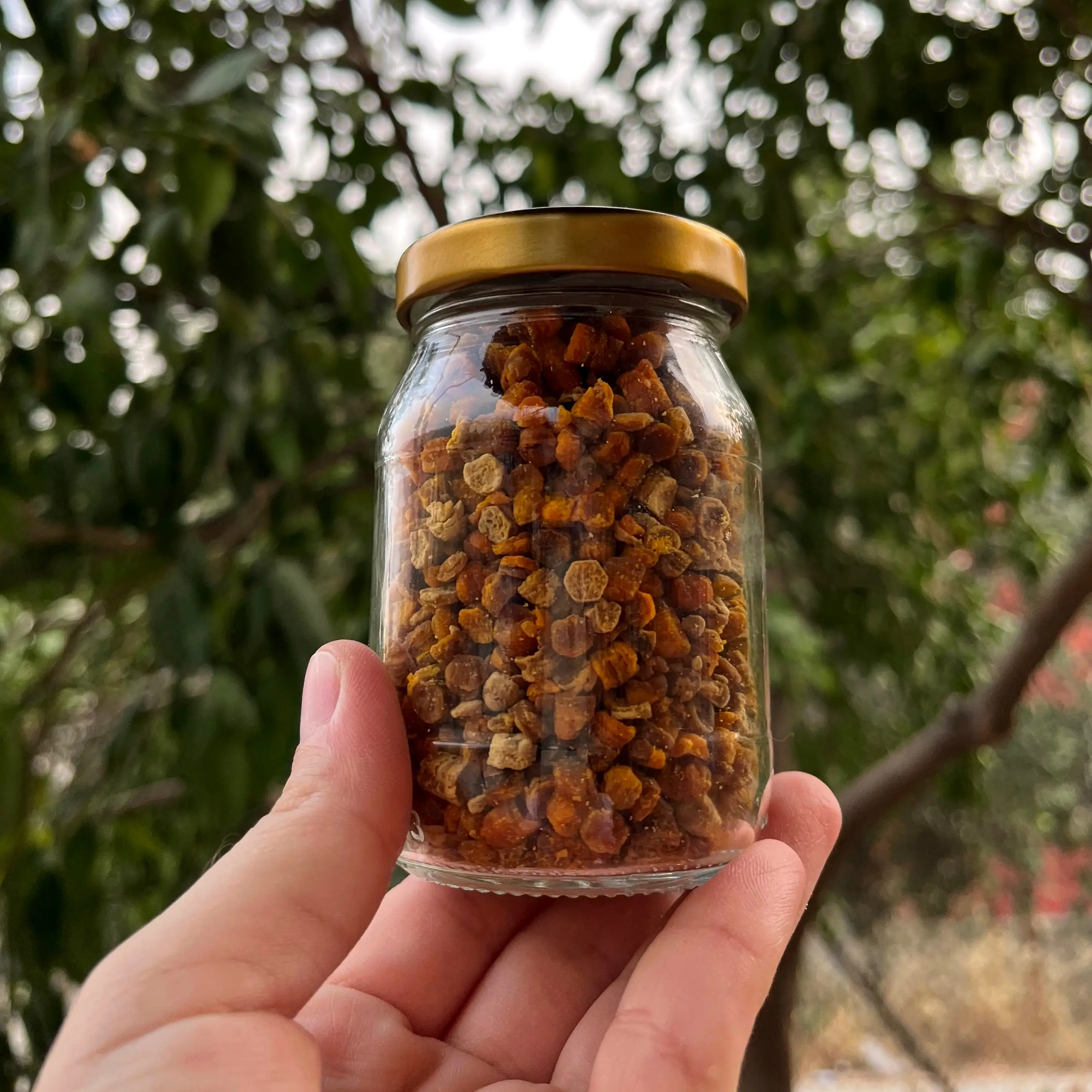 TAZE PERGA (ARI EKMEĞİ) 100gr