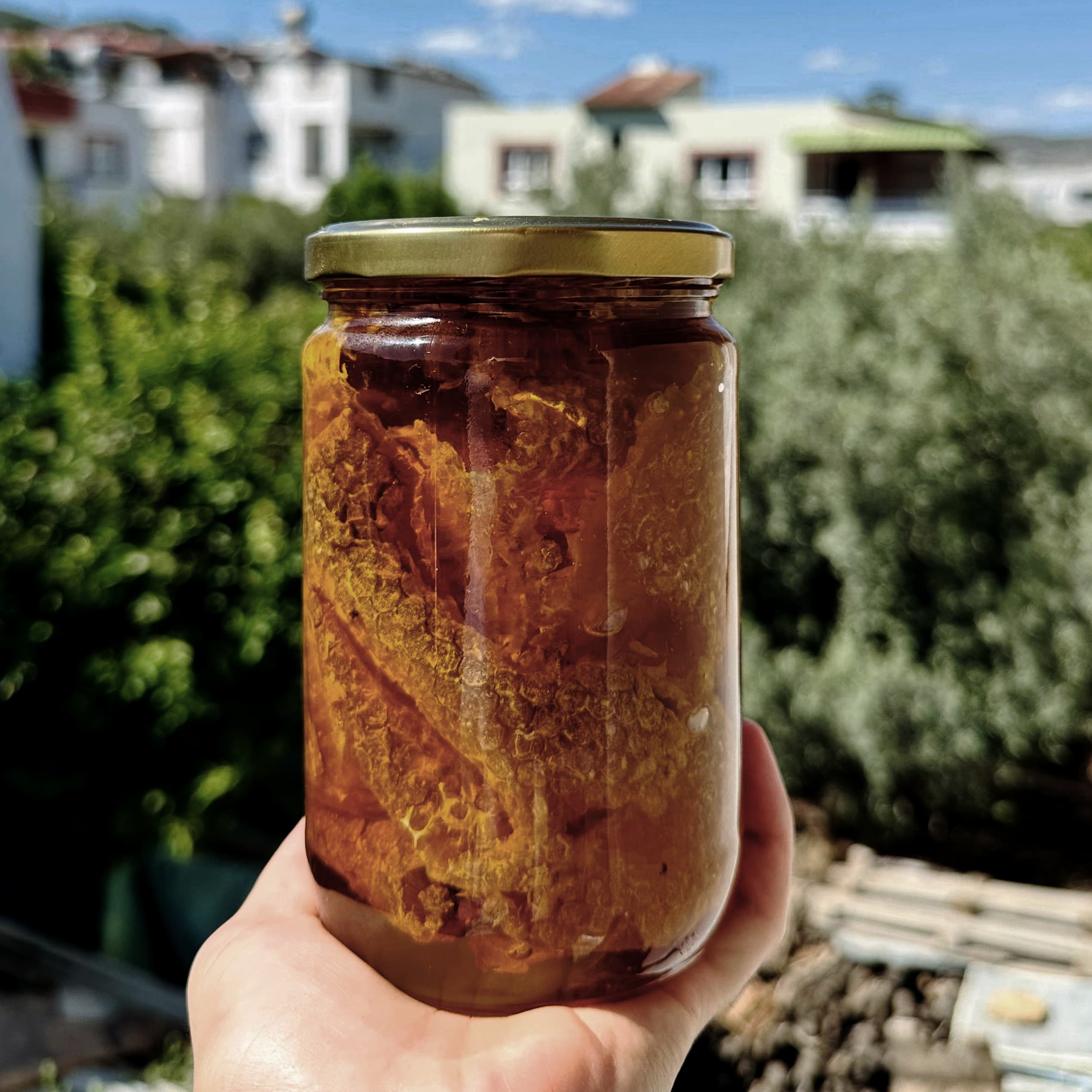  KAYMAK(Sırlı) BAL-Taze Hasat 850 gr