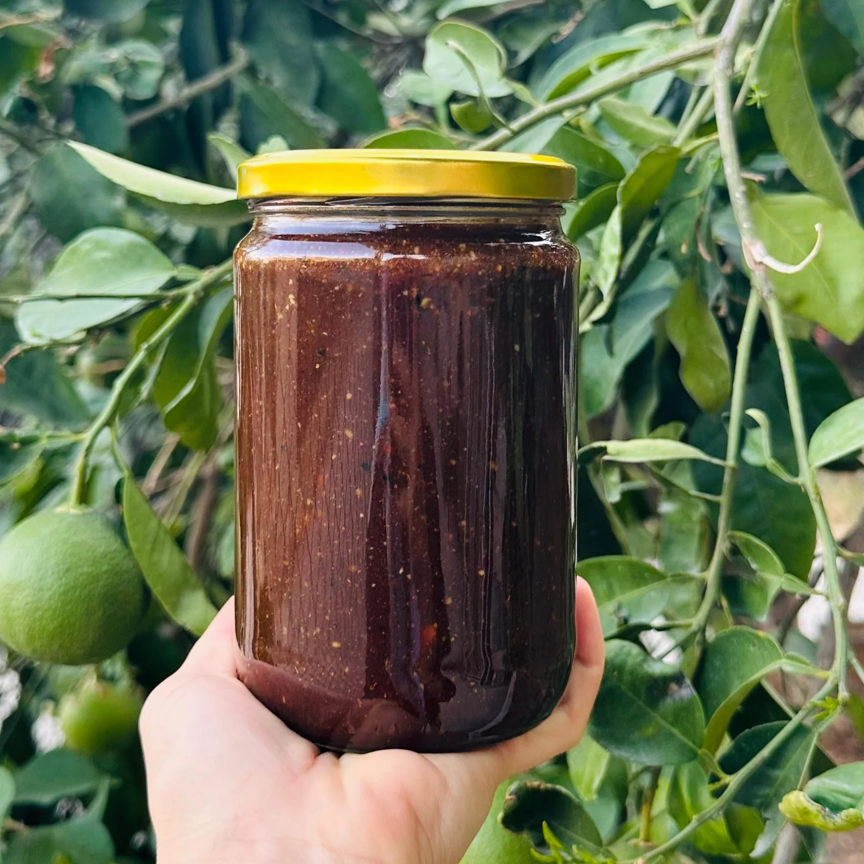 SÜPER ATOM ENERJİ MACUNU (850gr)