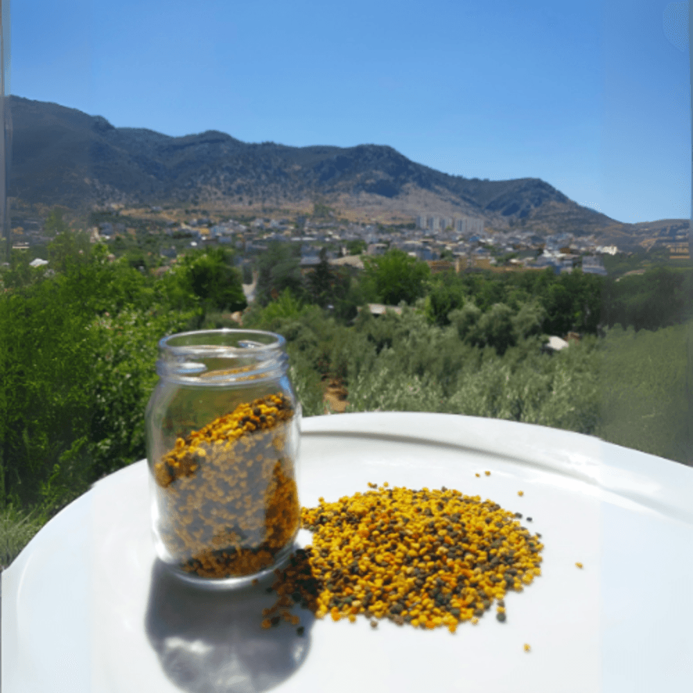 ARI POLENİ (110gr)