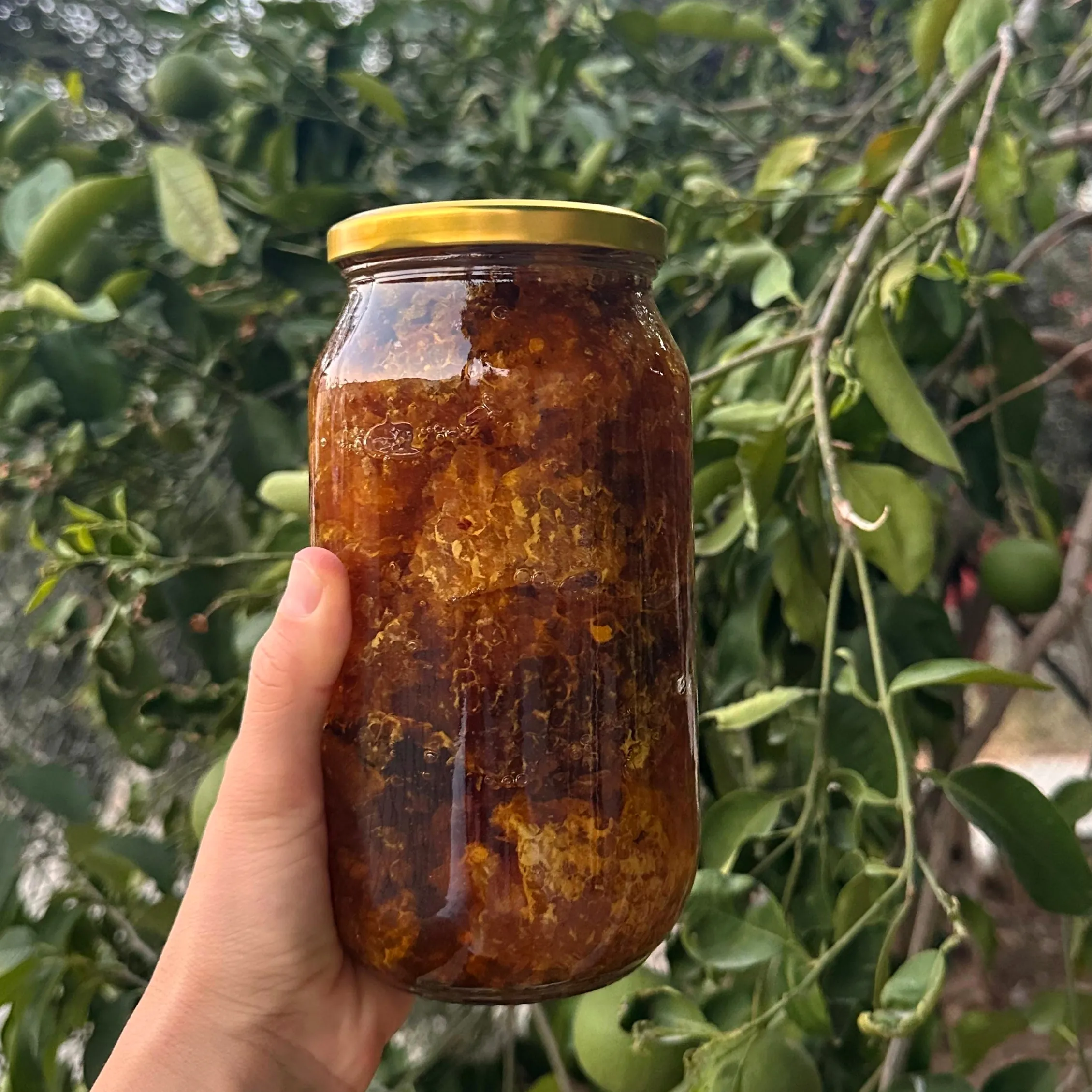  KAYMAK(Sırlı) BAL-Taze Hasat 1500 Gr