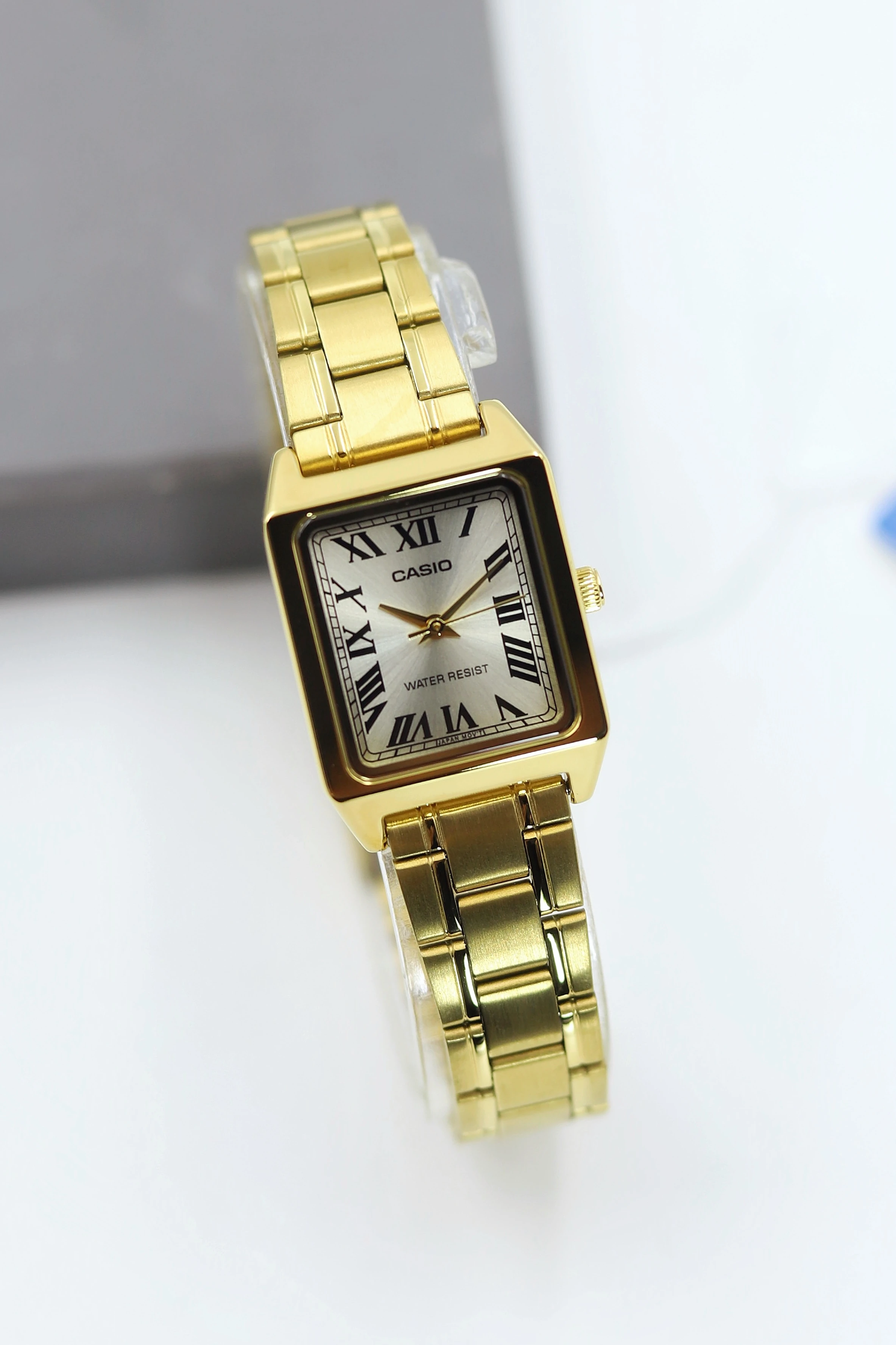 Casio Çelik Kordon Kadın Kol Saati ASW123-173CS