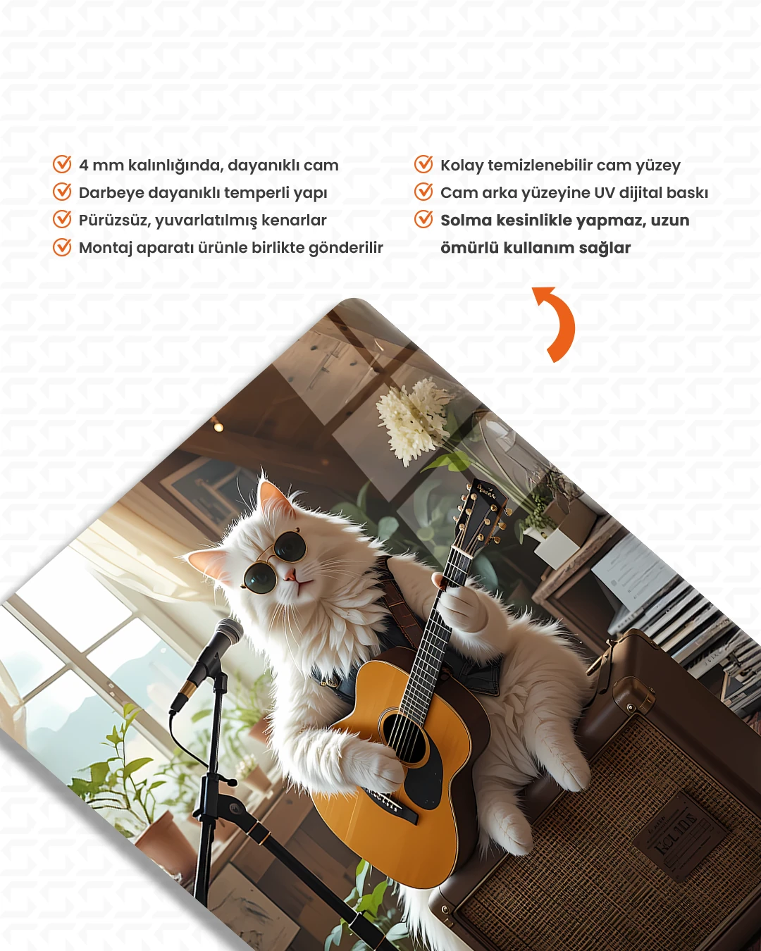 Miyav Sessions Vol.1