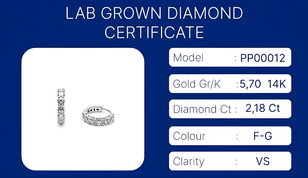 14K White Gold Diamond-Studded Hoop Earrings