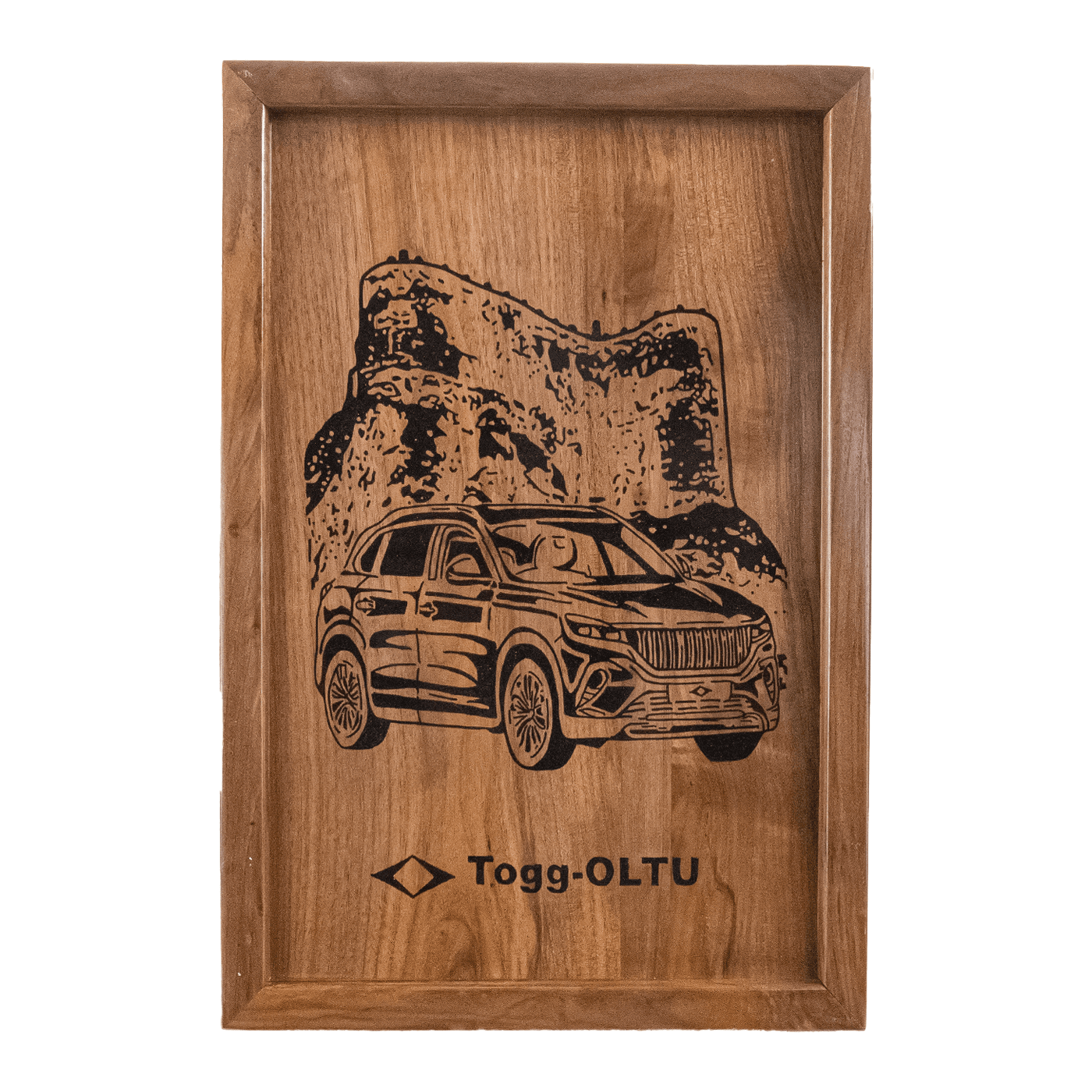 Oltu Taşı İşlemeli Togg Oltu Tablo