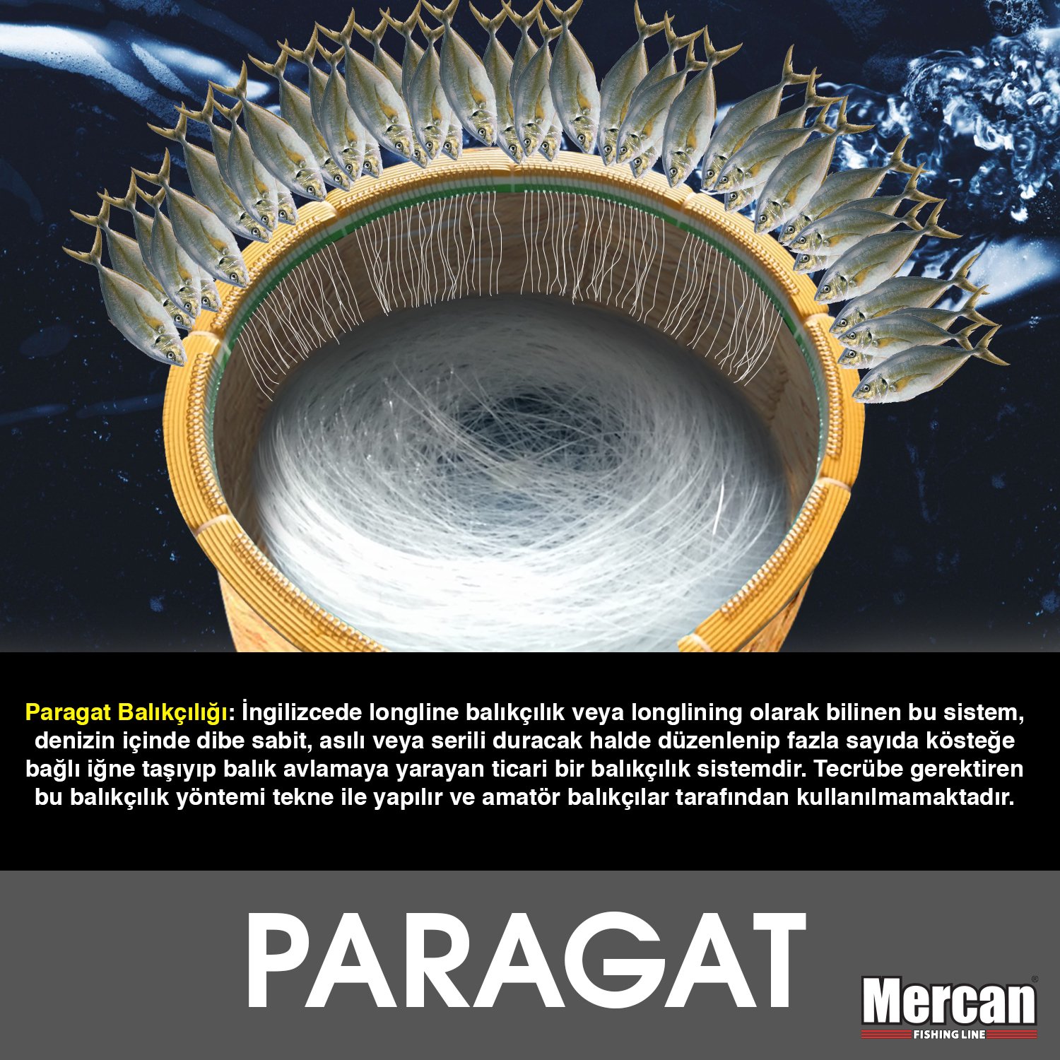 Mercan Standart 1 Kg Çile Misina