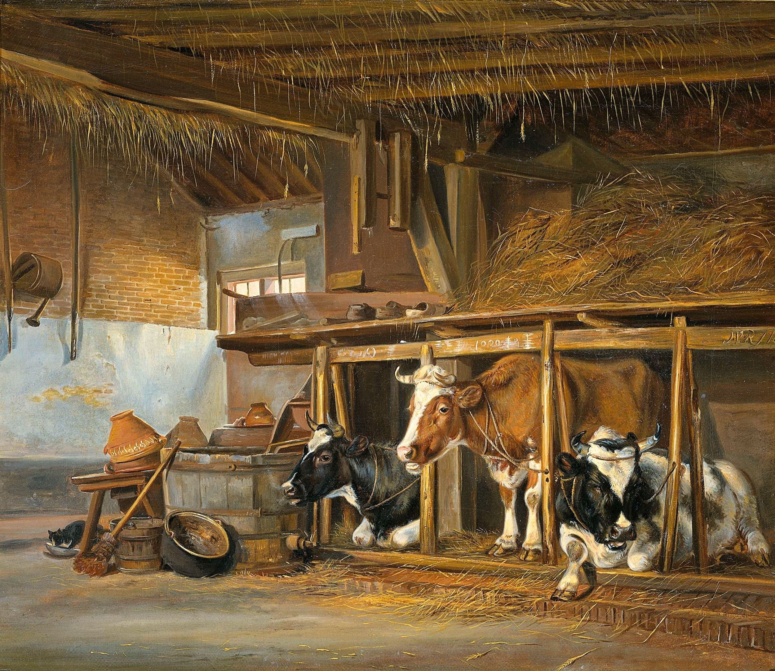 Holstein ve Simmental Irkı Arasındaki Farklar