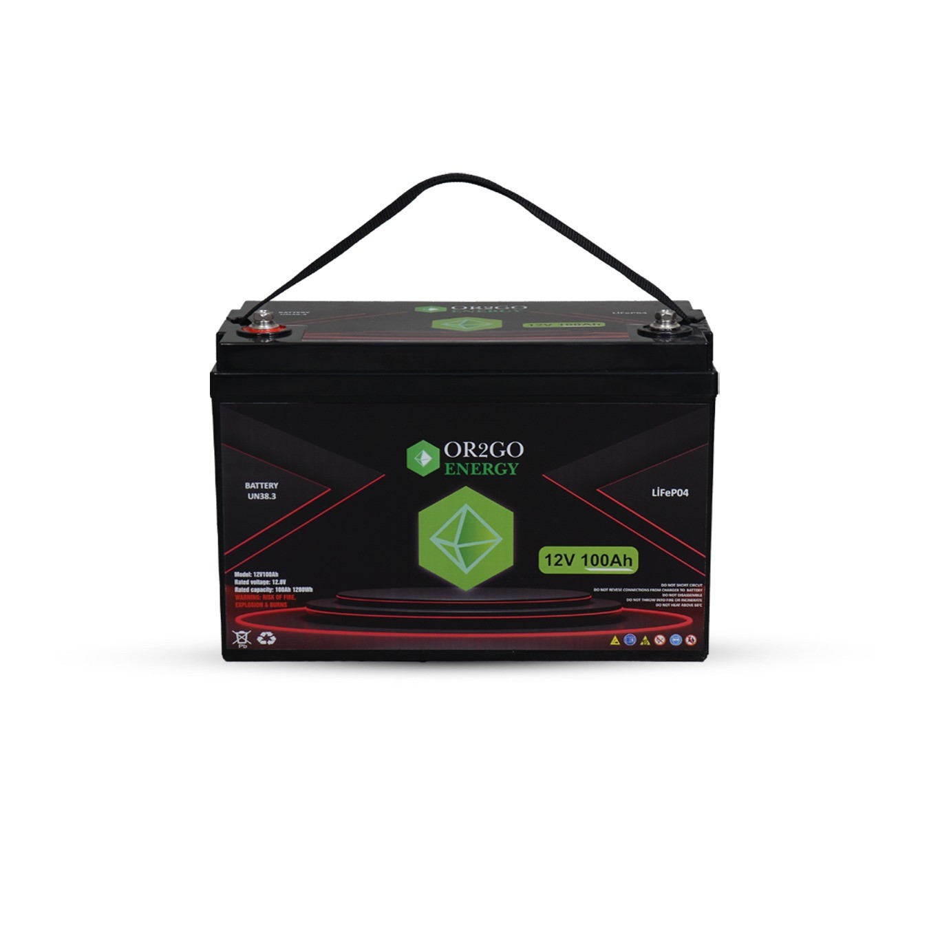 OR2GO 12 V 100 AH Camper LiFePO4 Battery 