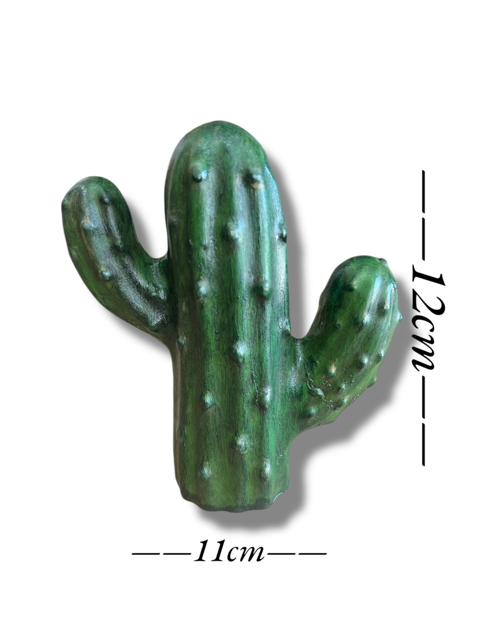 MİNİ KAKTÜS BİBLO 12CM