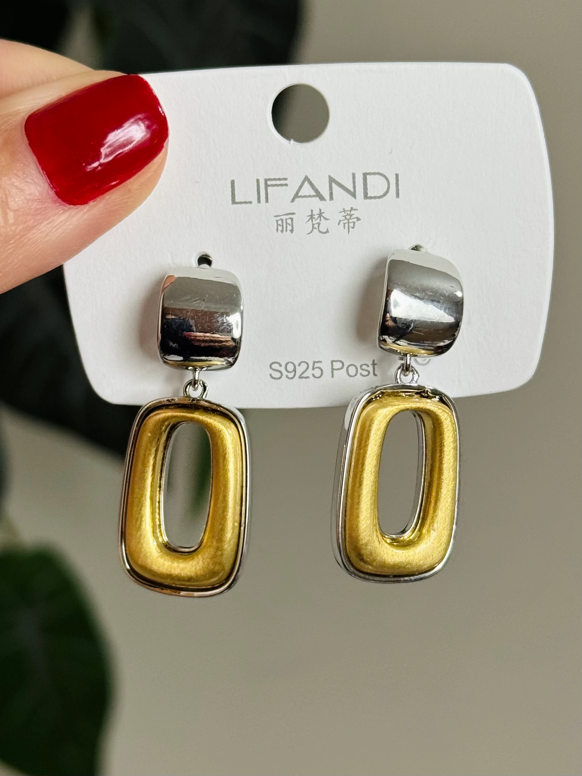 Özel Seri Çift Renk Gümüş Küpe