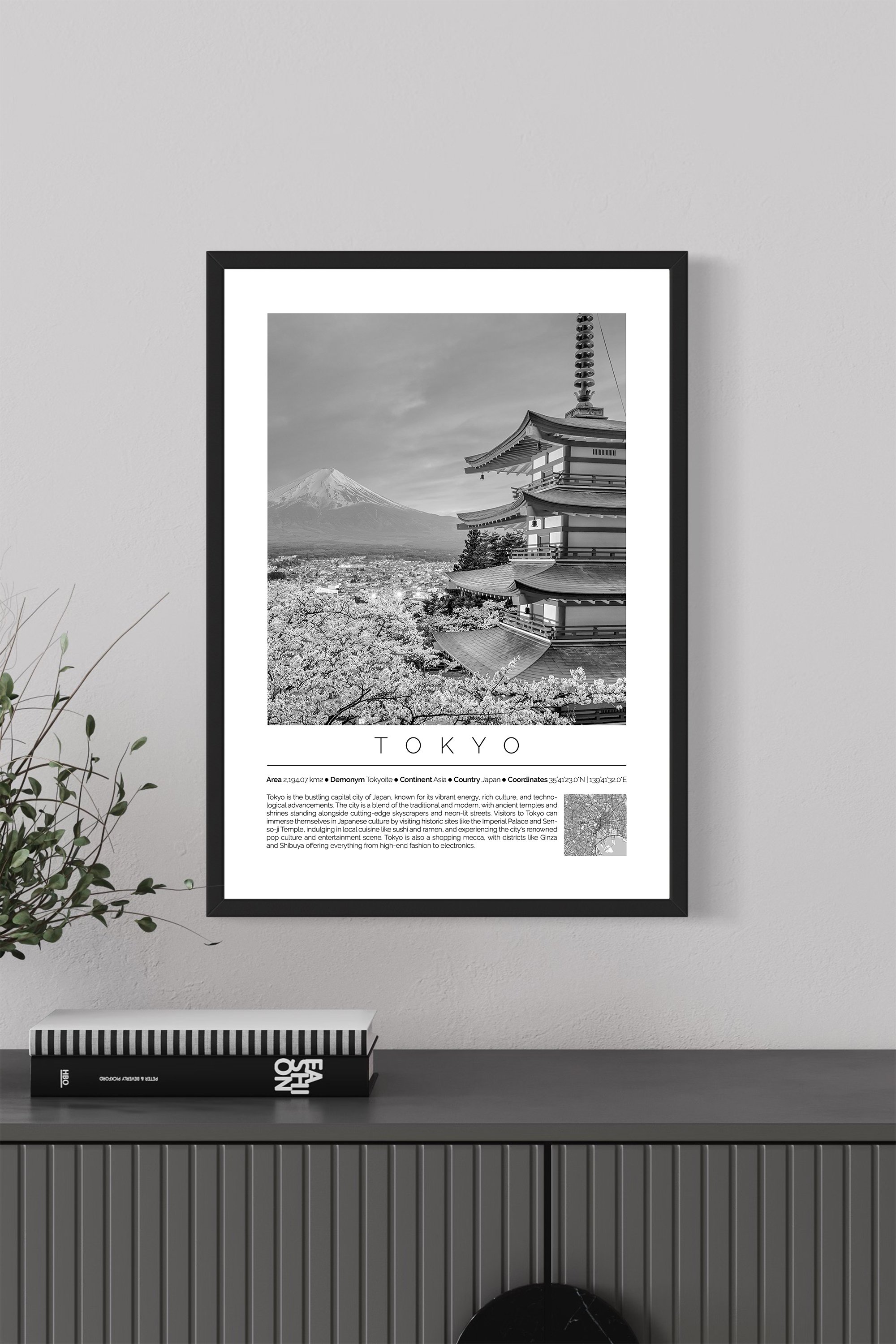 Tokyo Japan Monochrome Framed Print Cities Collection