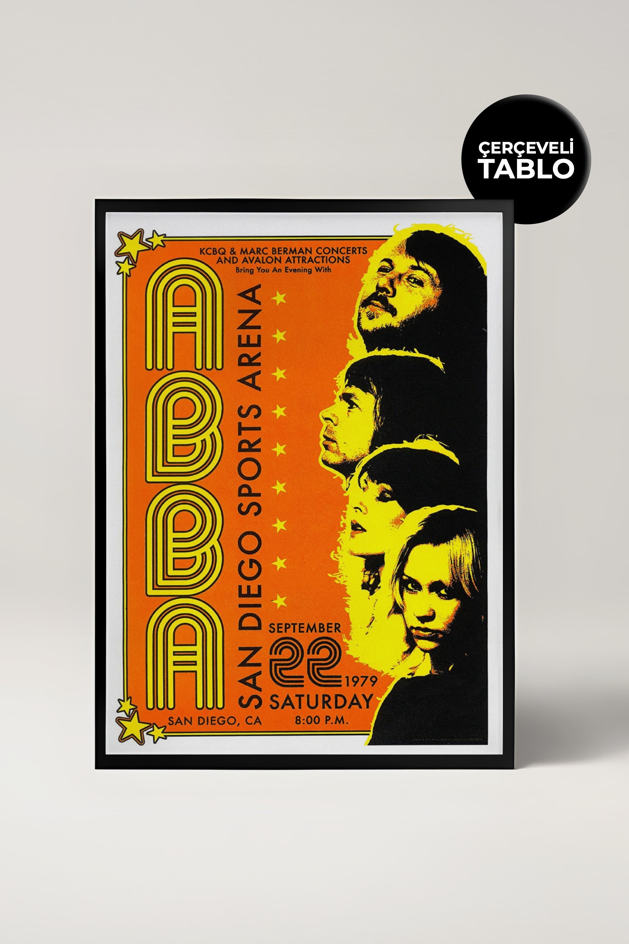 Abba Konser Tasarımlı Retro Çerçeveli Tasarım Tablo No:2