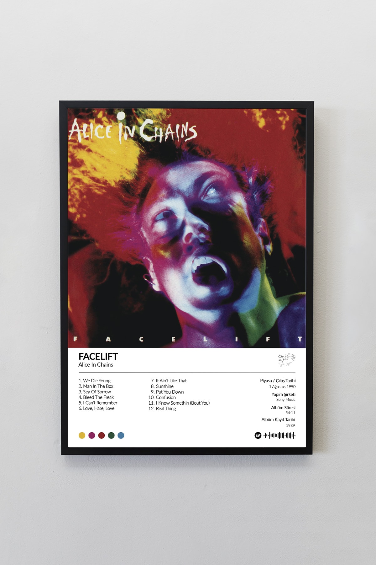 Alice In Chains Facelift Albümü Çerçevesiz Albüm Tasarımlı Spotify Poster