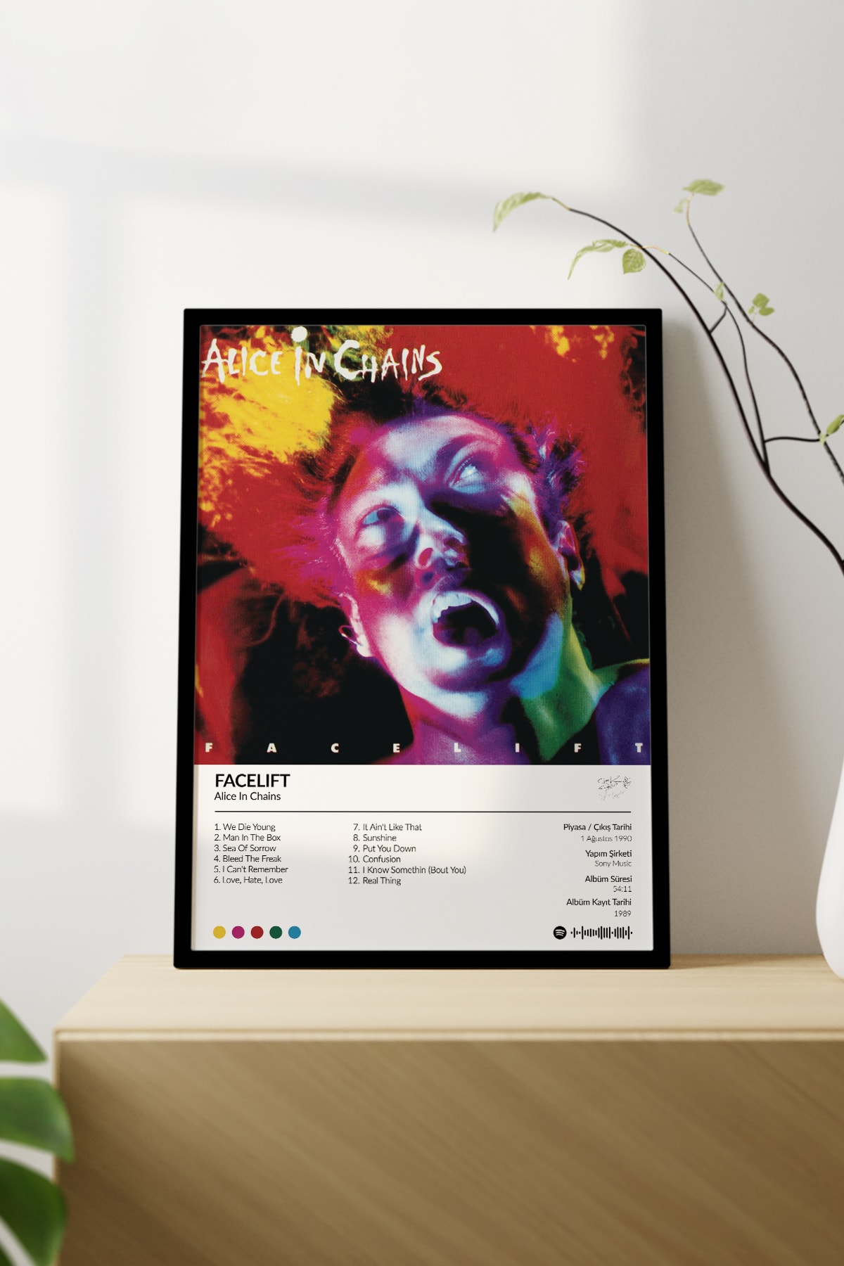 Alice In Chains Facelift Albümü Çerçevesiz Albüm Tasarımlı Spotify Poster