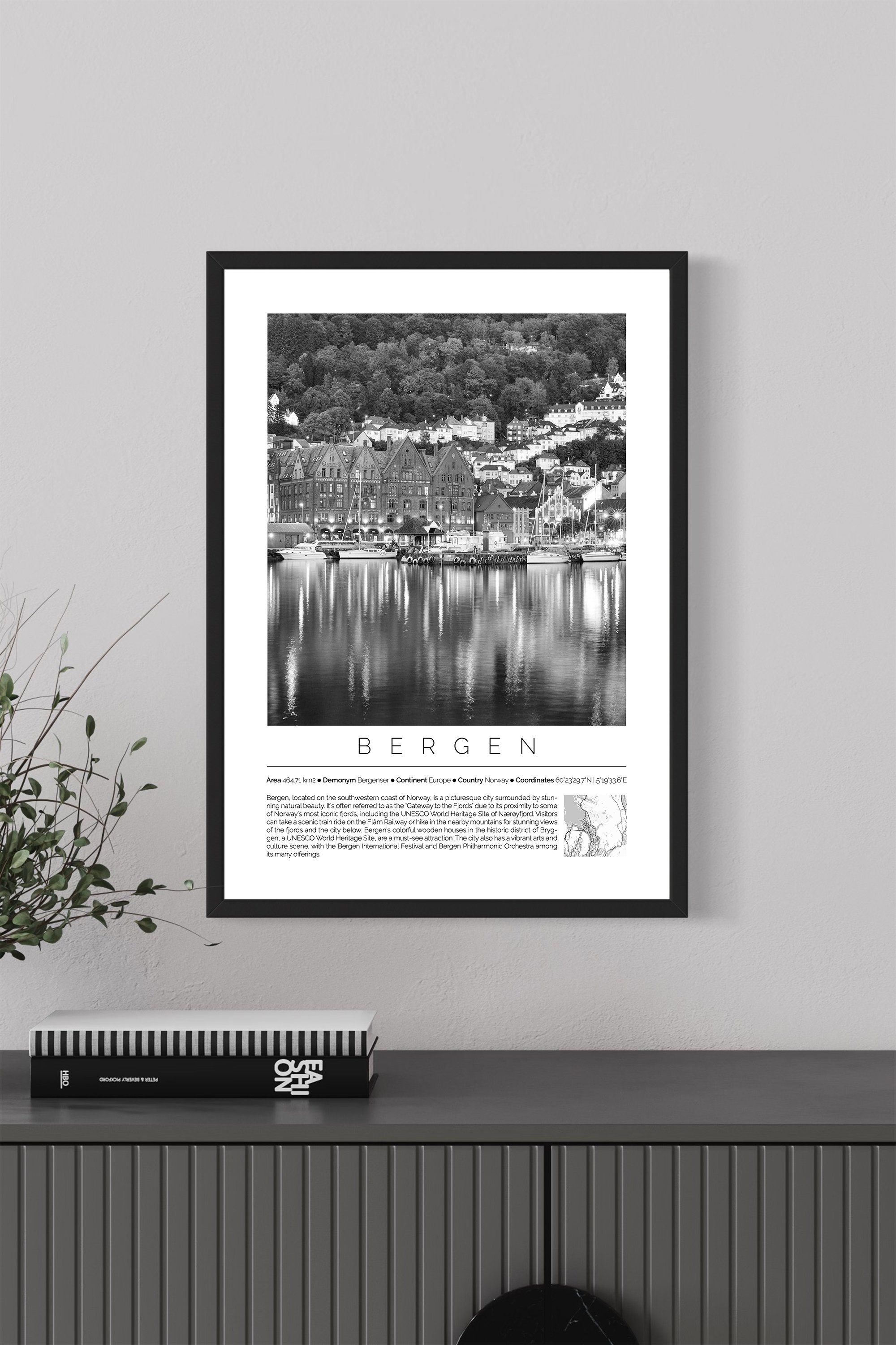 Bergen Norway Monochrome Framed Print Cities Collection