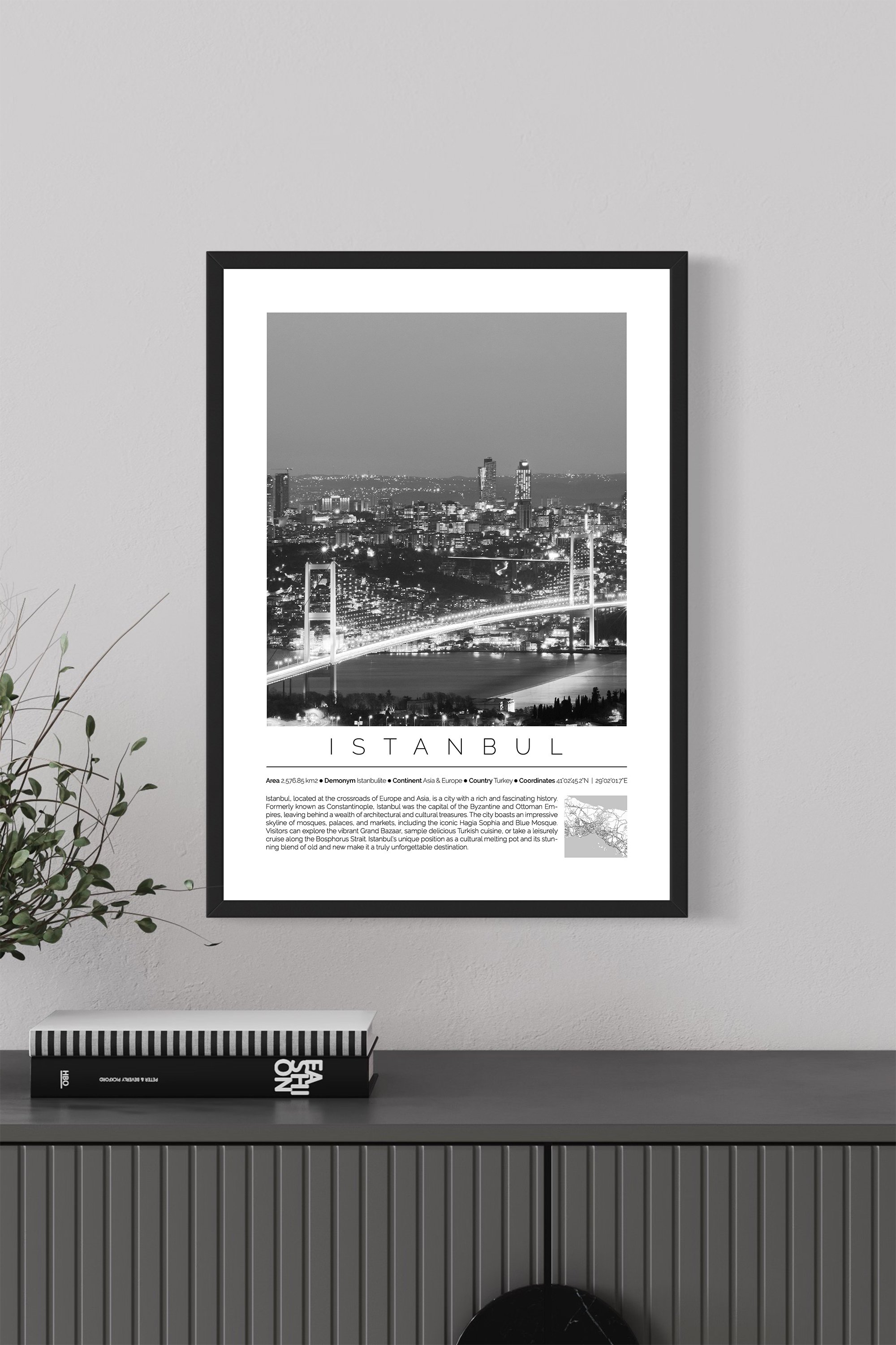 Istanbul Turkey Monochrome Framed Print Cities Collection