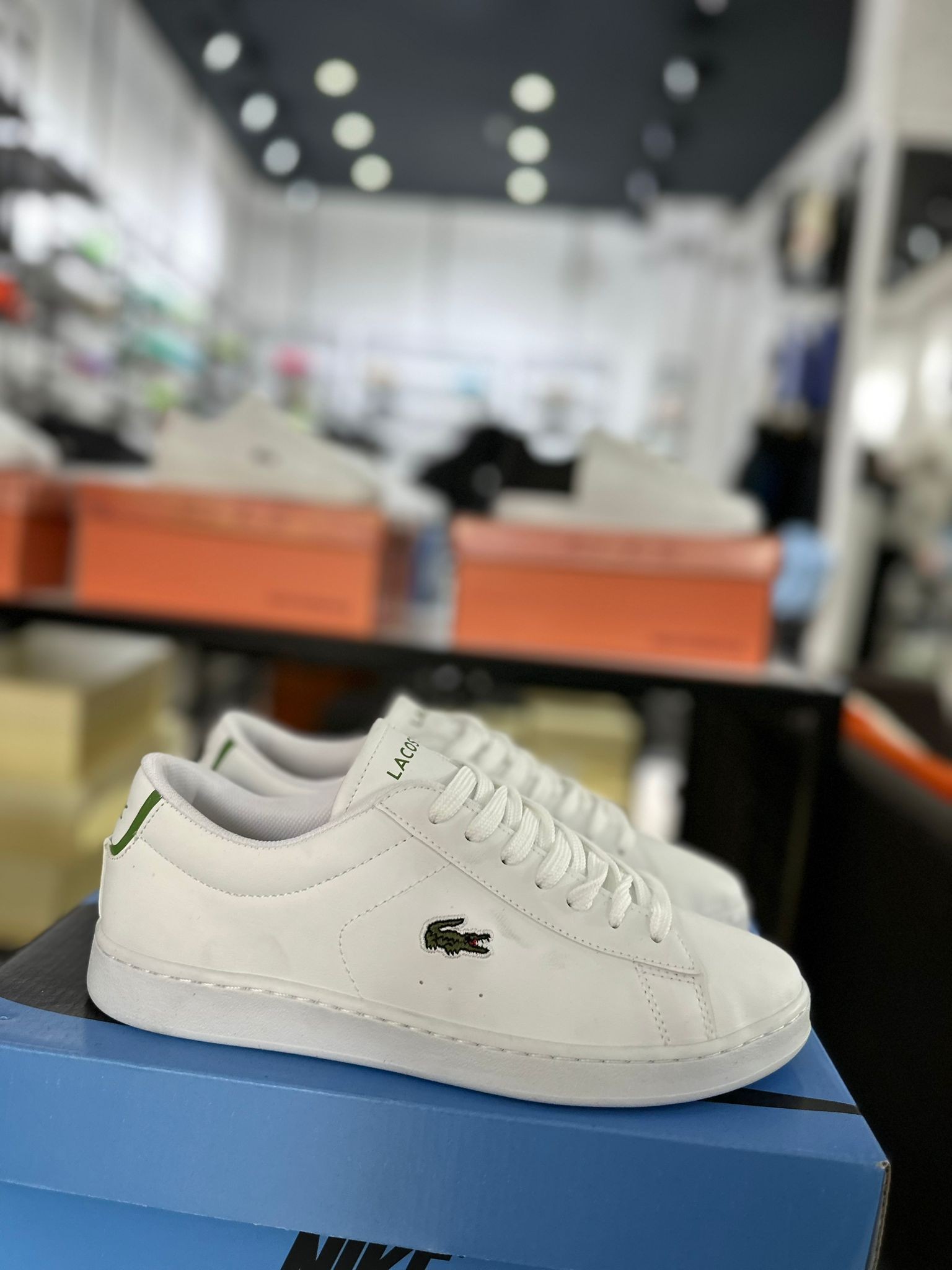 Lacoste Özel Seri