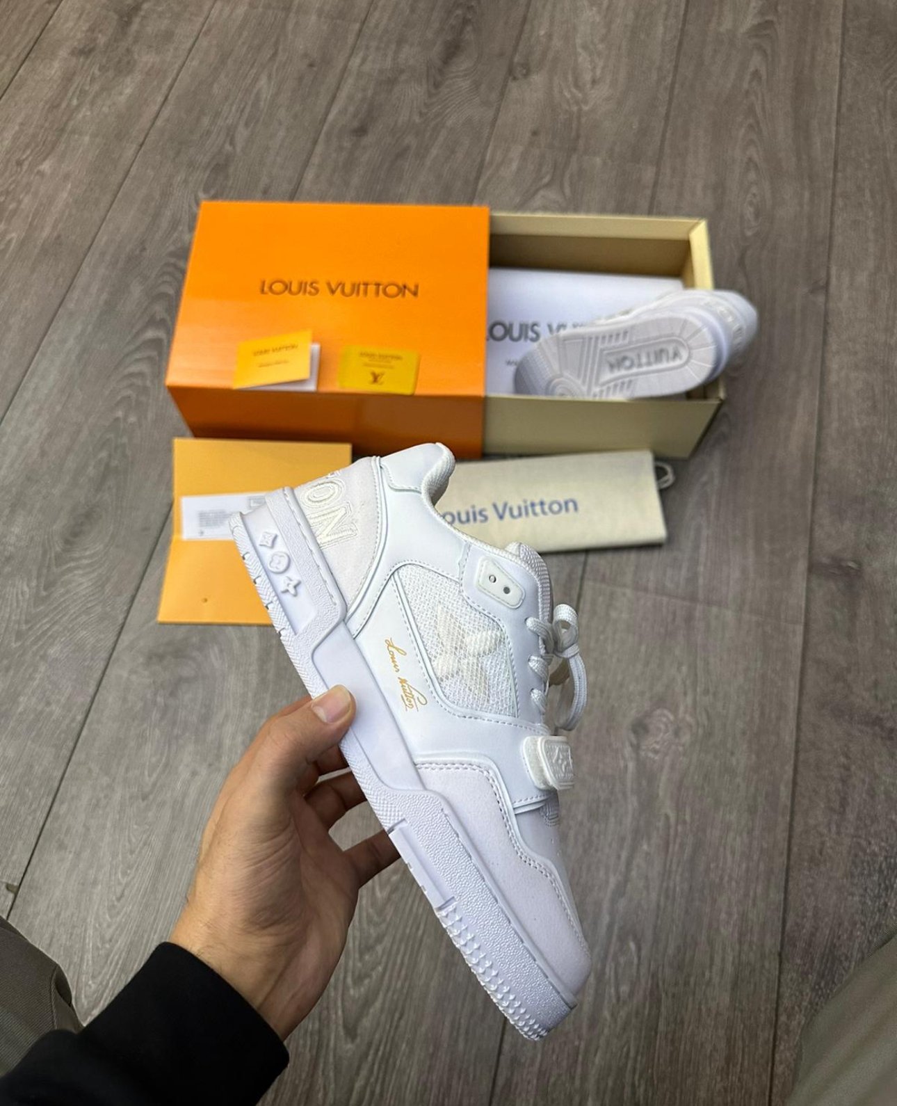 Louis Vuitton LV Trainer Sneaker (ithal)