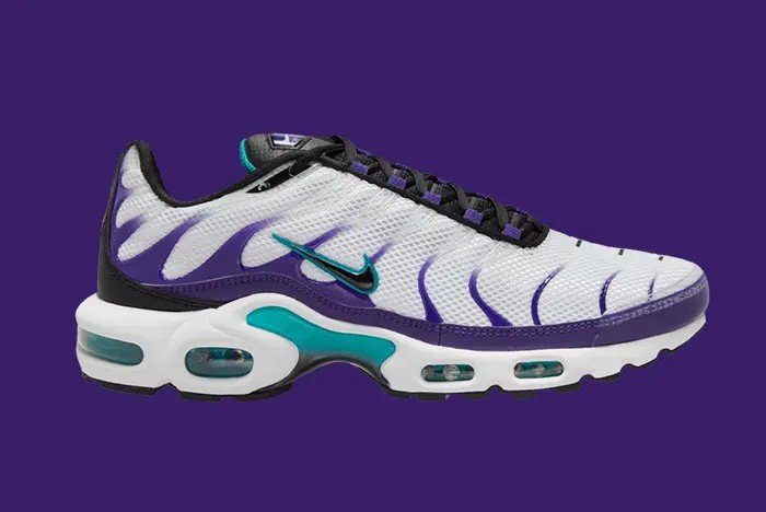 Nike  Tn Air Max Plus 'Grape'