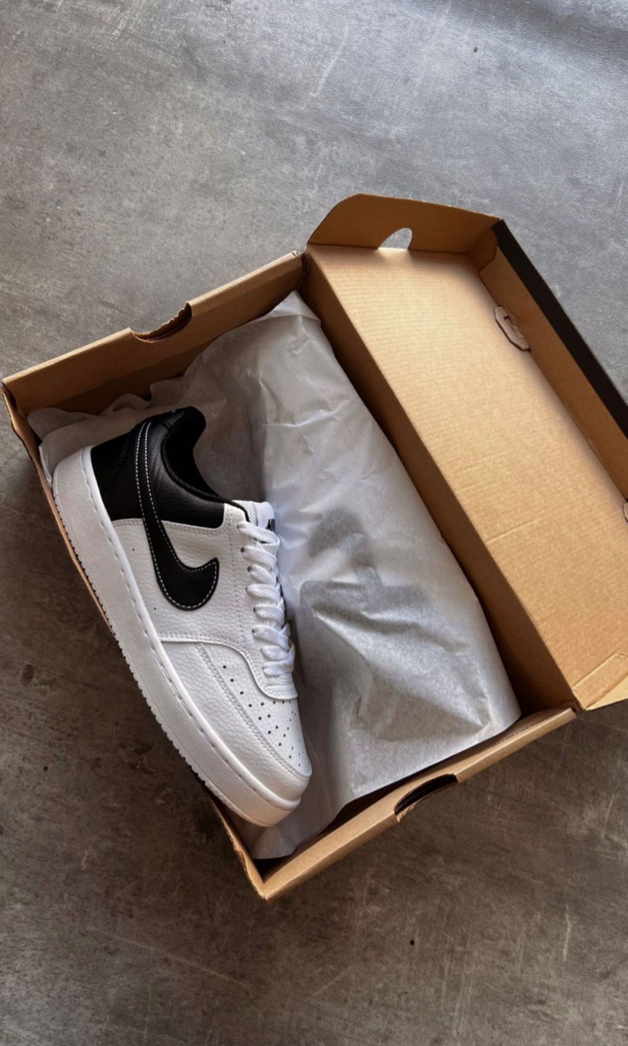 nike court vision new season white black