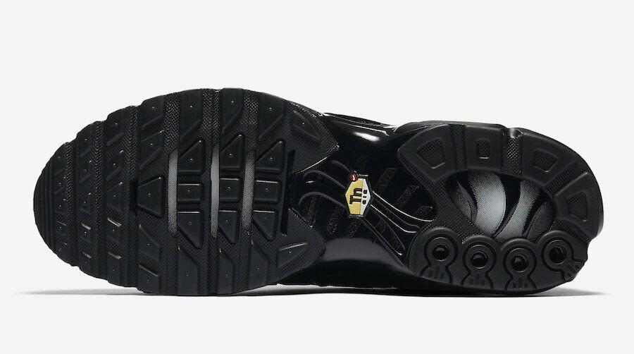 NIKE Air Max Plus TN           