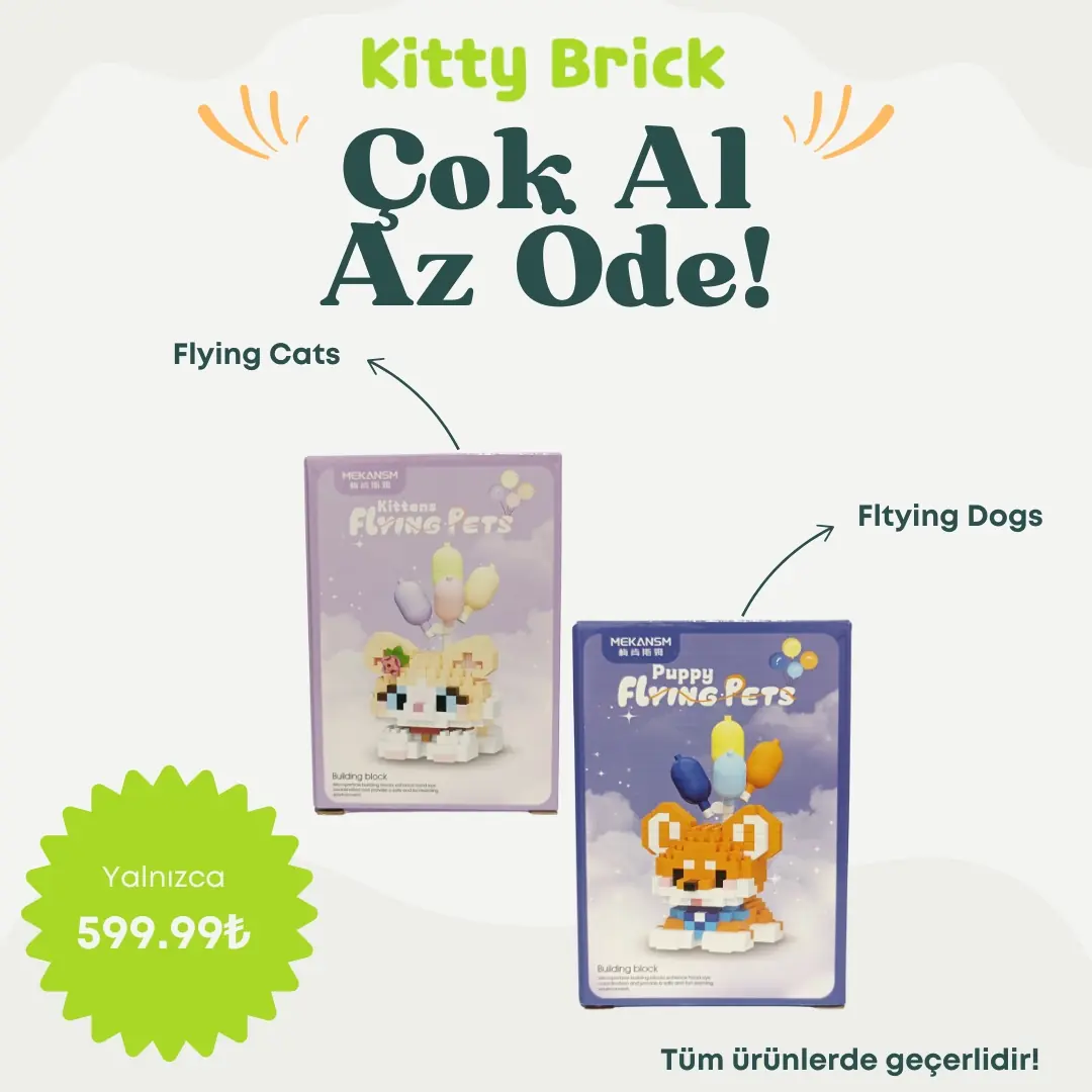 En yi Arkada lar Serisi Flying Cat And Dog