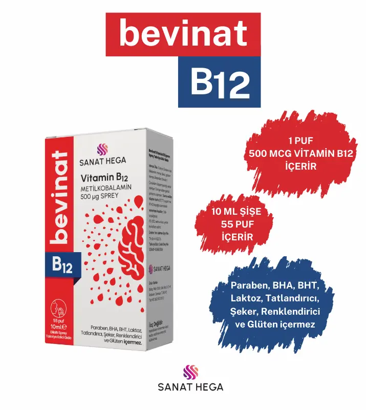 Bevinat B12 500MCG 10ML Sprey