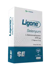 LİGONE