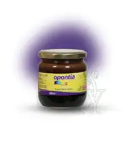 OPONTİA ADULT POWER MACUN (Yetişkin Form) 500 GR
