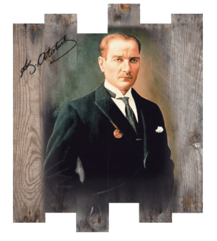 O-02	Özel Panel Atatürk