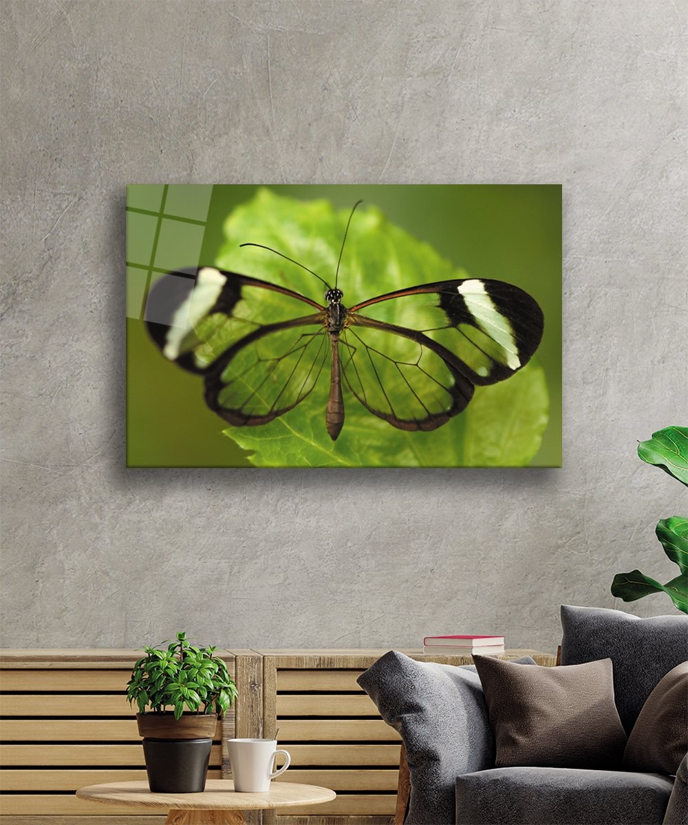Yeşil Yaprak Kelebek  Cam Tablo  4mm Dayanıklı Temperli Cam  Green Leaf Butterfly Glass Wall Art
