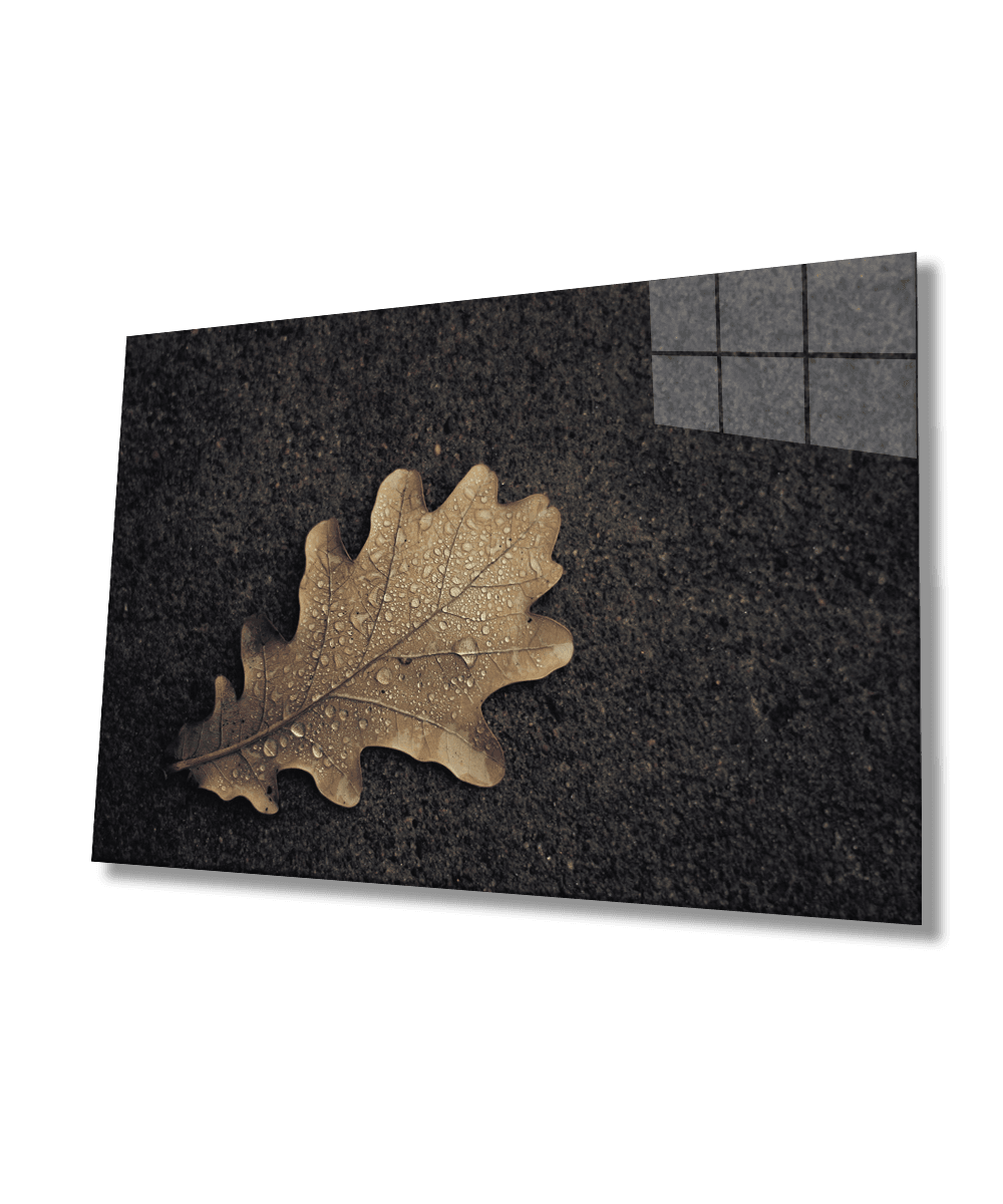 Kahverengi Yaprak Cam Tablo  4mm Dayanıklı Temperli Cam  Brown Leaf  Glass Wall  Art