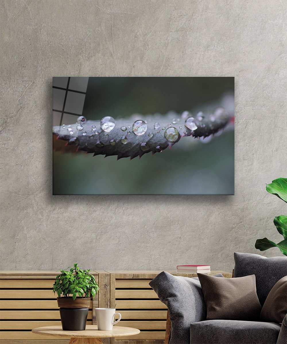 Su Damlaları Yeşil yaprak-1 Cam Tablo 4mm Dayanıklı Temperli Cam